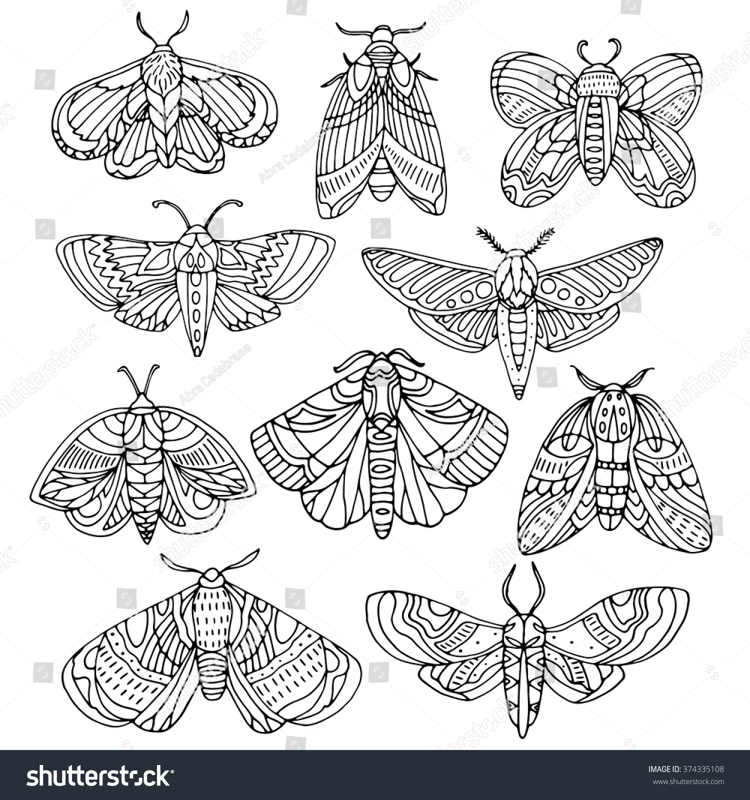 Hand Drawn Moths Set Stock Vector 374335108 : Shutterstock