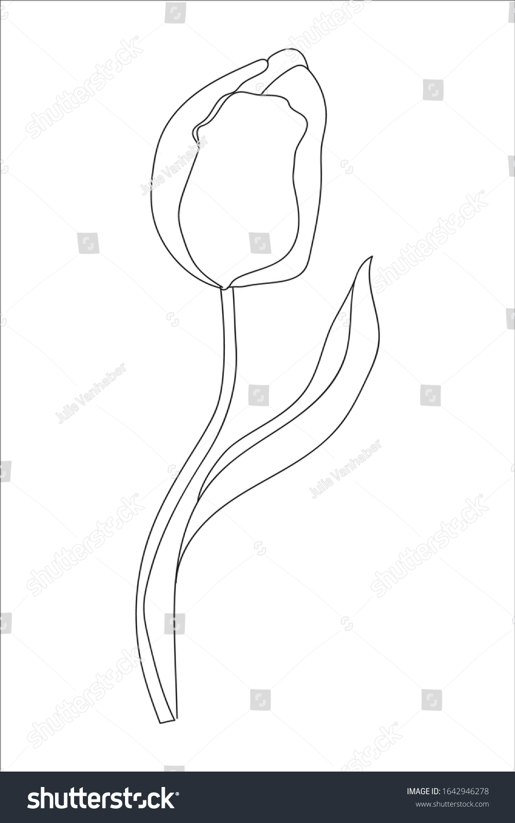 Handdrawn Black Outline Tulip Branches Isolated Stock Vector (Royalty ...