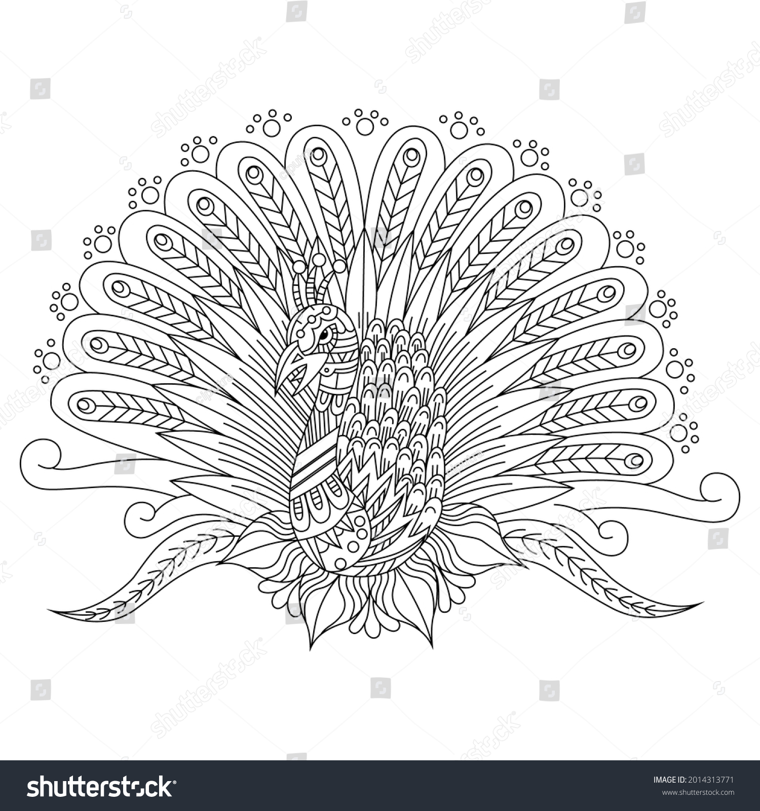 Hand Drawn Peacock Zentangle Style Stock Vector Royalty Free 2014313771 Shutterstock 9657