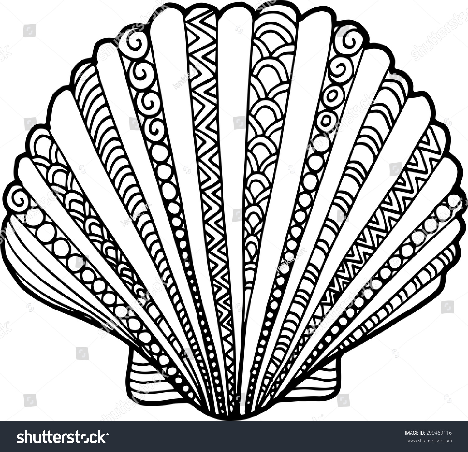 Hand Drawn Outline Shell Illustration. Seashell Drawing Decorated With ...