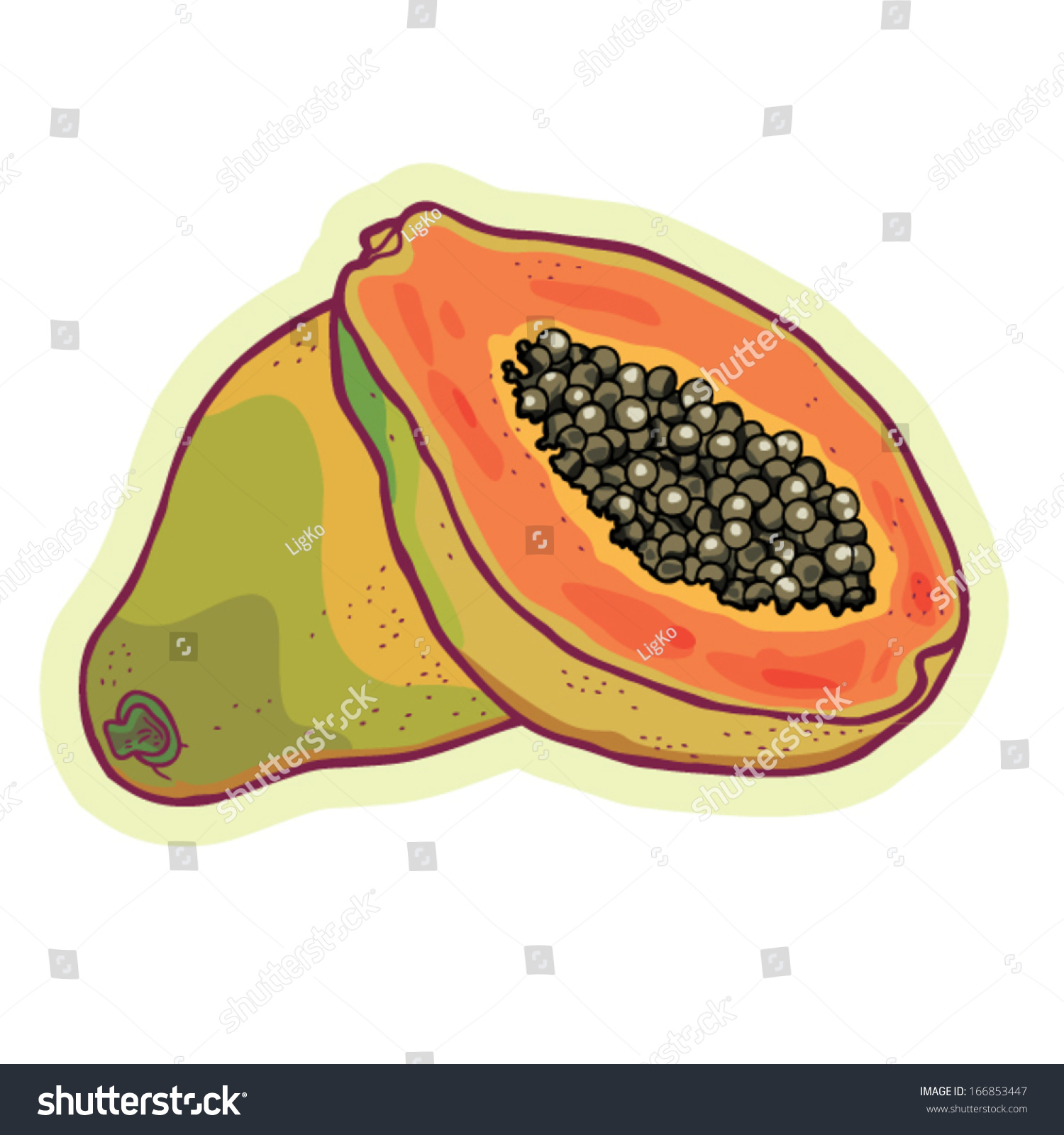 Hand Drawn Papaya Cartoon Vector Vectores En Stock 166853447 Shutterstock