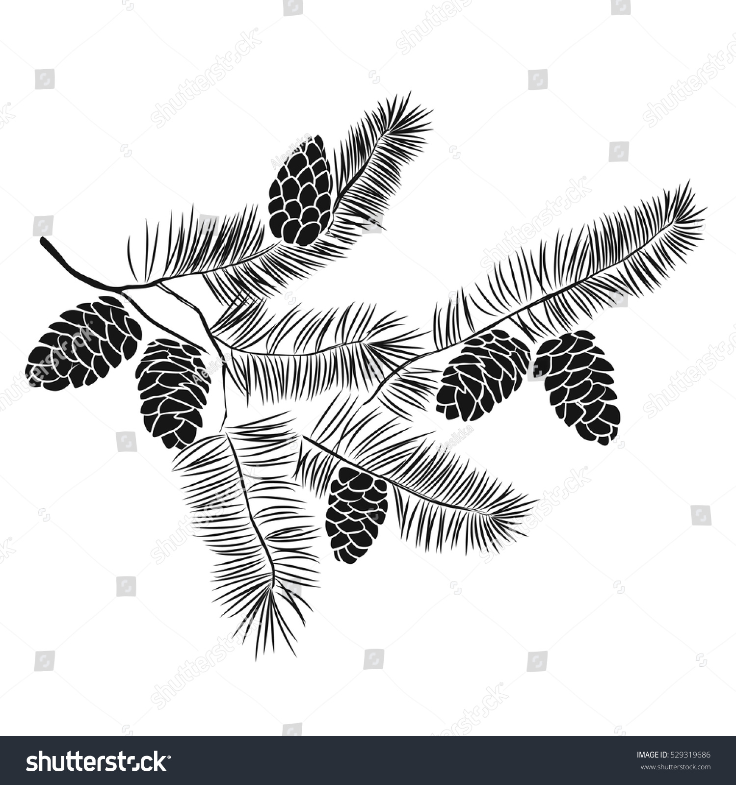 Hand Drawn Pine Tree Branch Isolated Stock Vektorgrafik Lizenzfrei 529319686 Shutterstock 