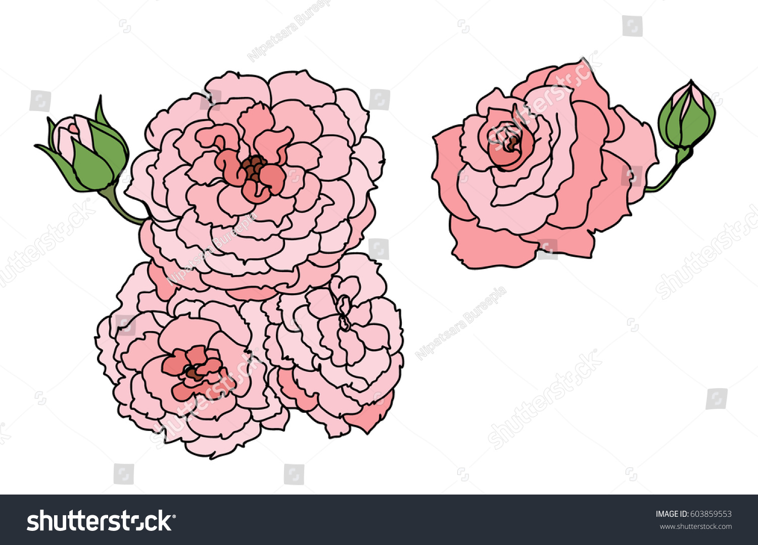 Hand Drawn Pink Rose Doodle Art Stock Vector Royalty Free