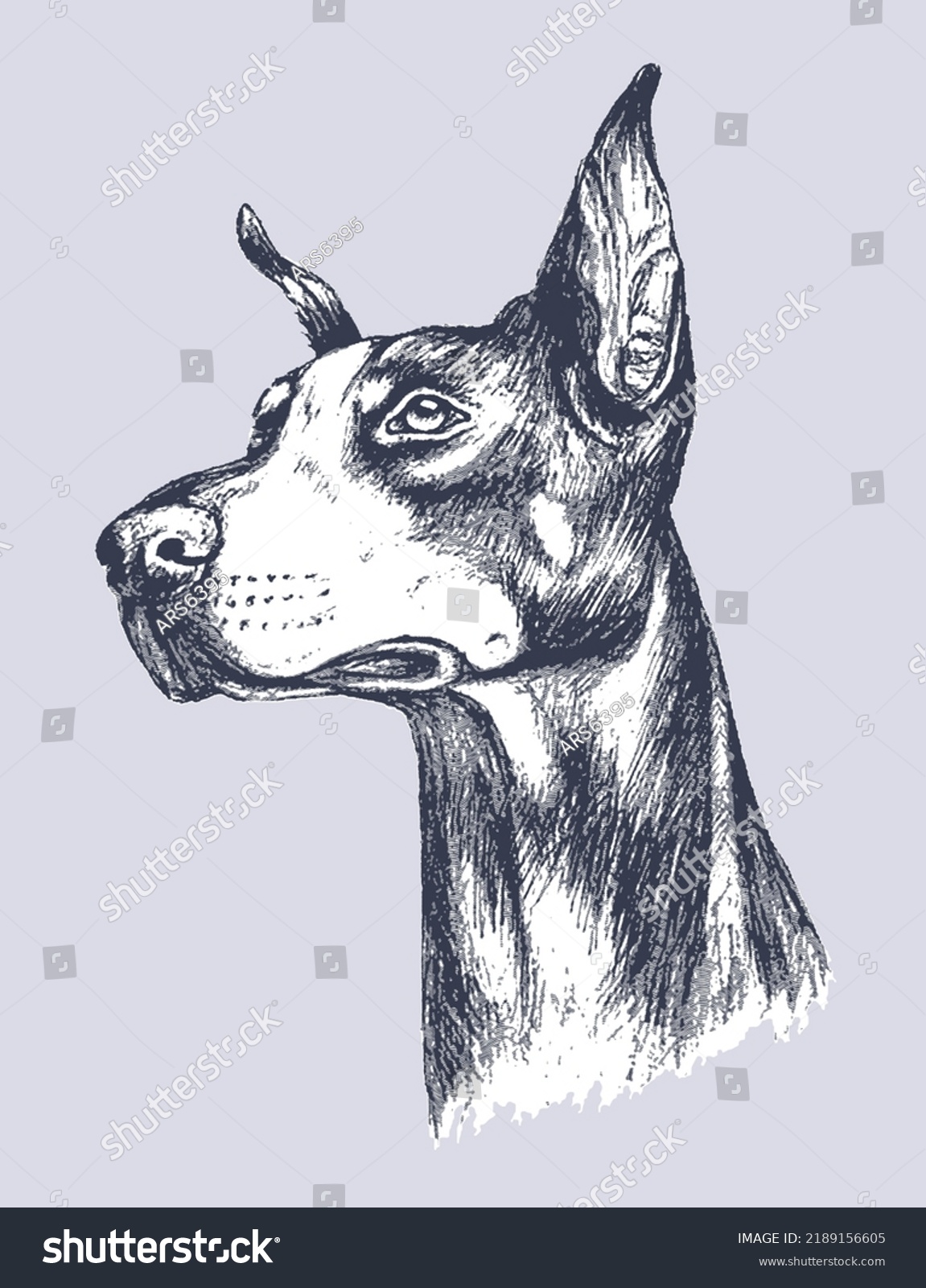 3,200 Doberman drawing Stock Vectors, Images & Vector Art | Shutterstock