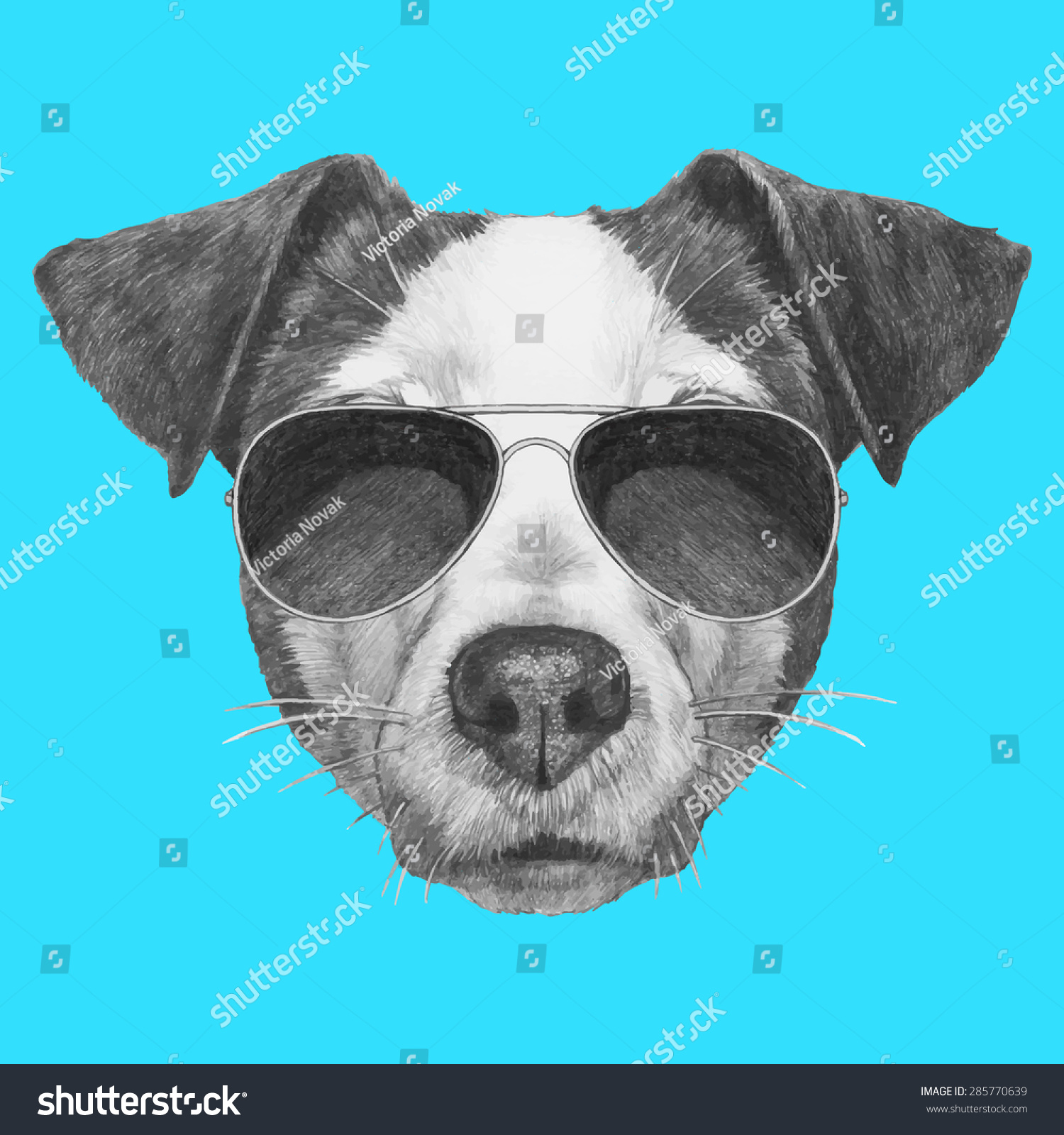 Hand Drawn Portrait Jack Russell Sunglasses Royalty Free Stock Image