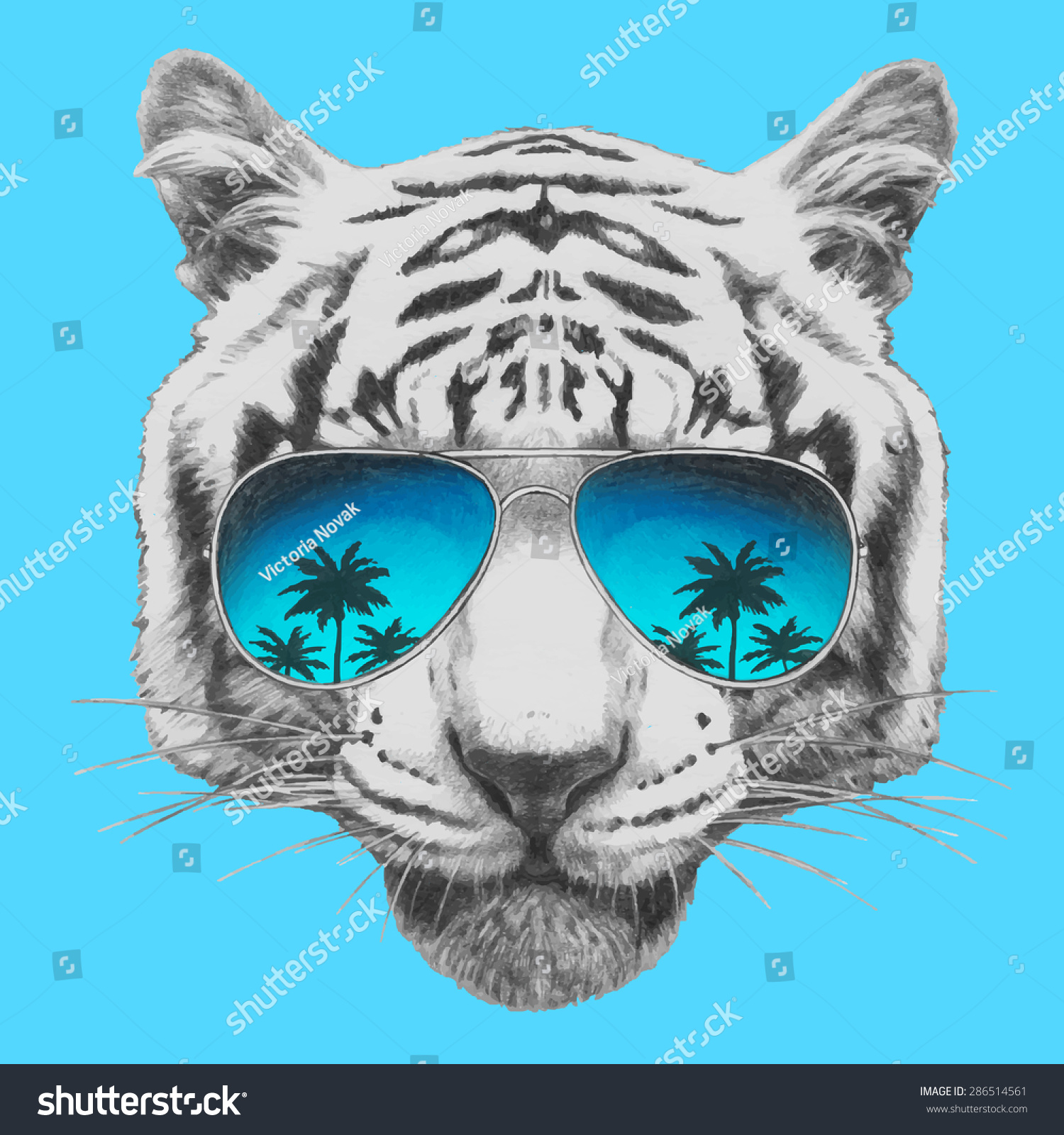 Hand Drawn Portrait Tiger Mirror Sunglasses Stock Vector 286514561 ...