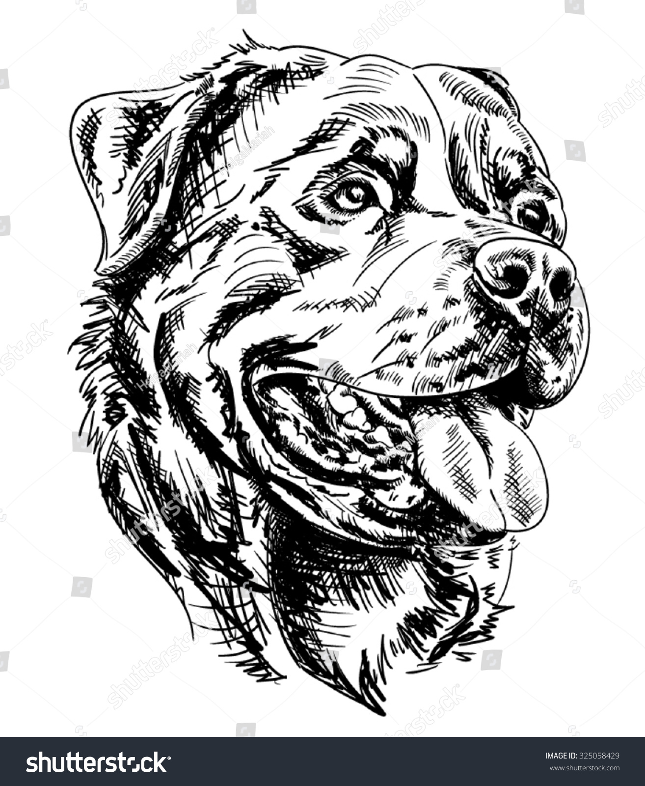 Image Result For Rottweiler Cartoon