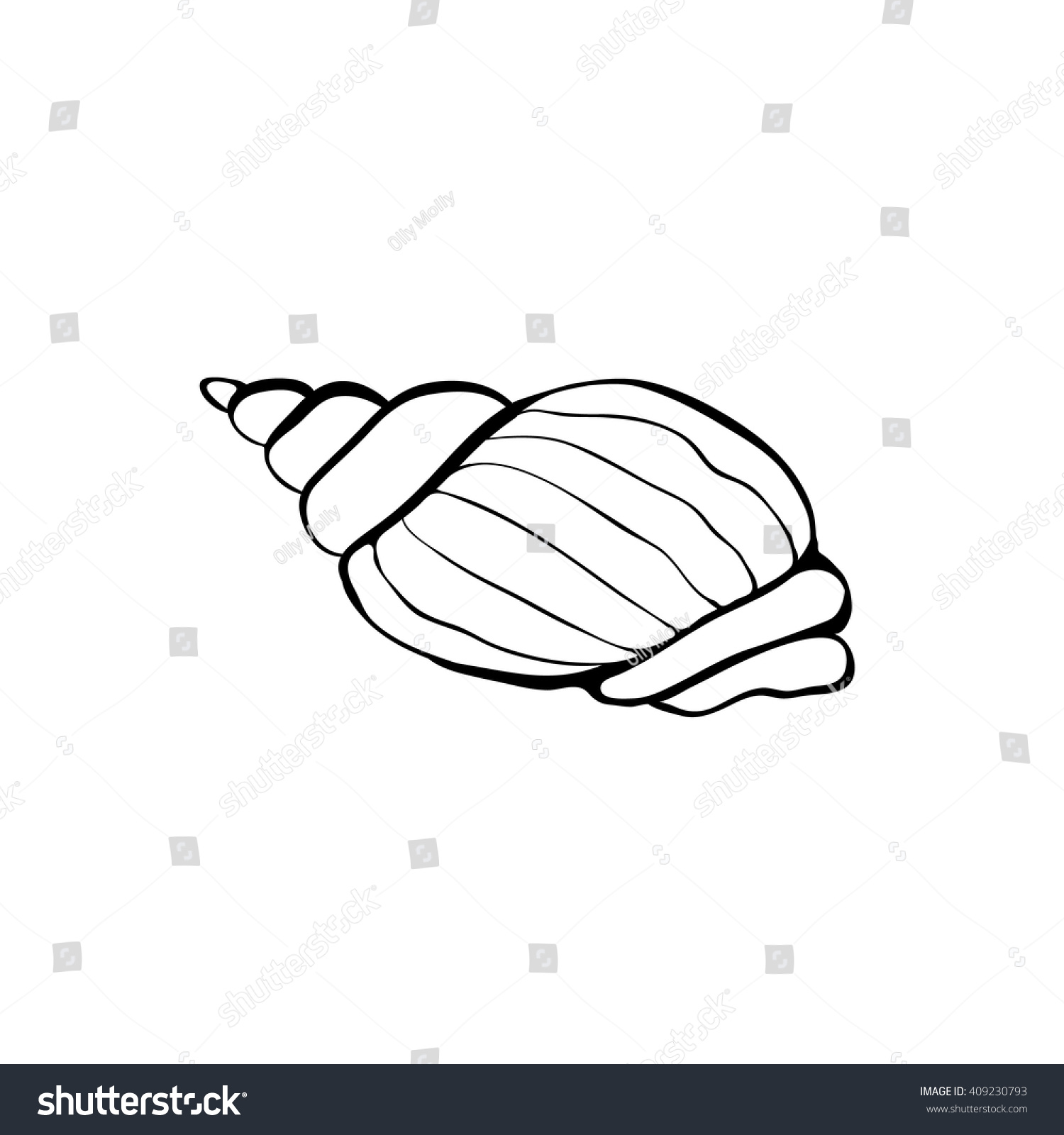 Hand Drawn Sea Shell Shellfish Outline Stock Vector (royalty Free 