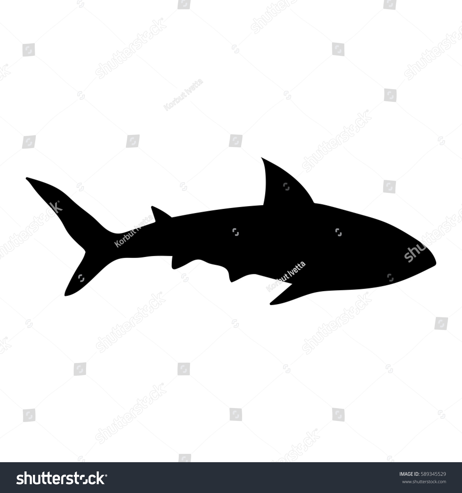 Uncategorized Drawn Shark hand drawn shark silhouette on white stock vector 589345529 background