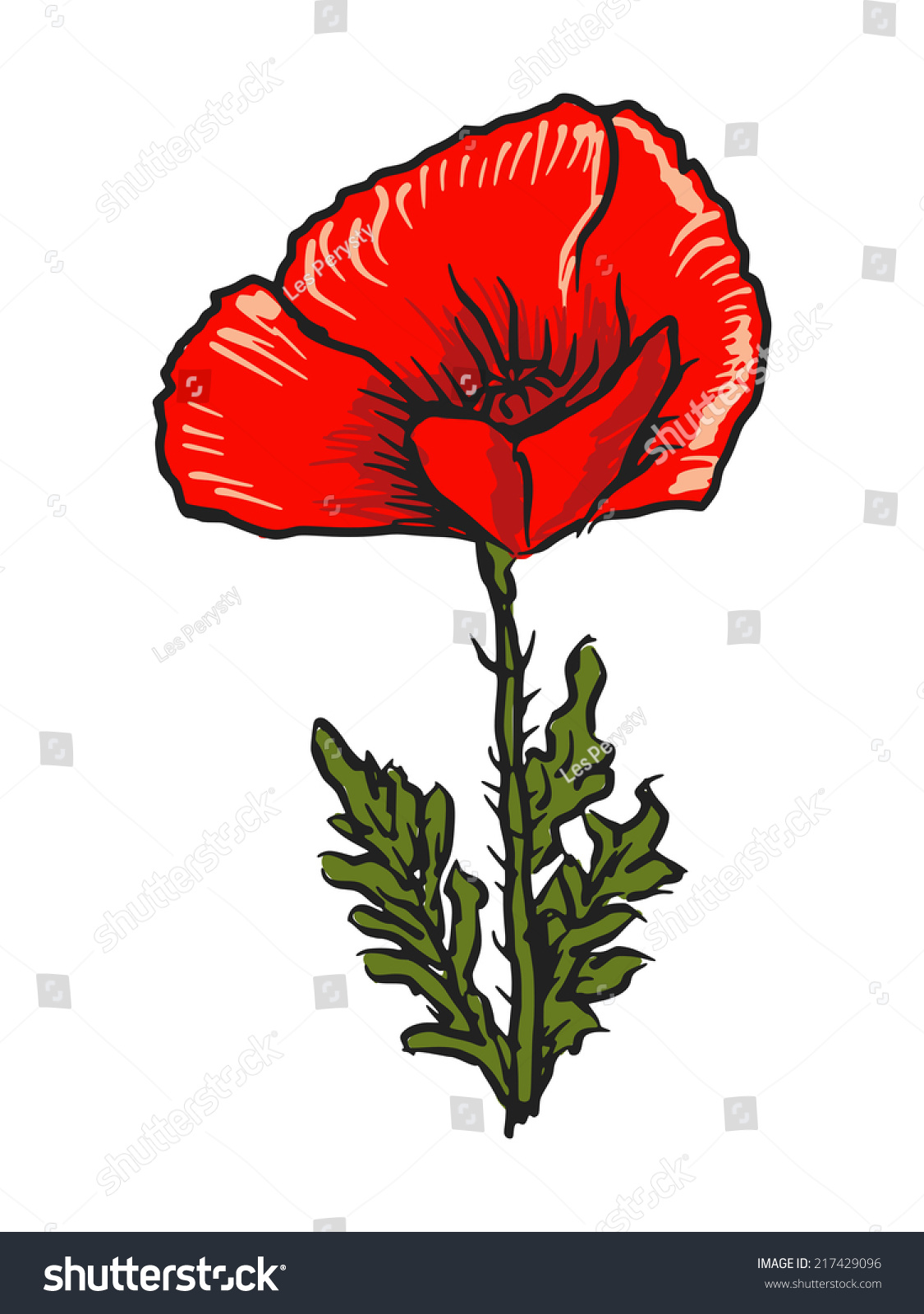 Hand Drawn Sketch Illustration Poppy Stock Vector (Royalty Free ...