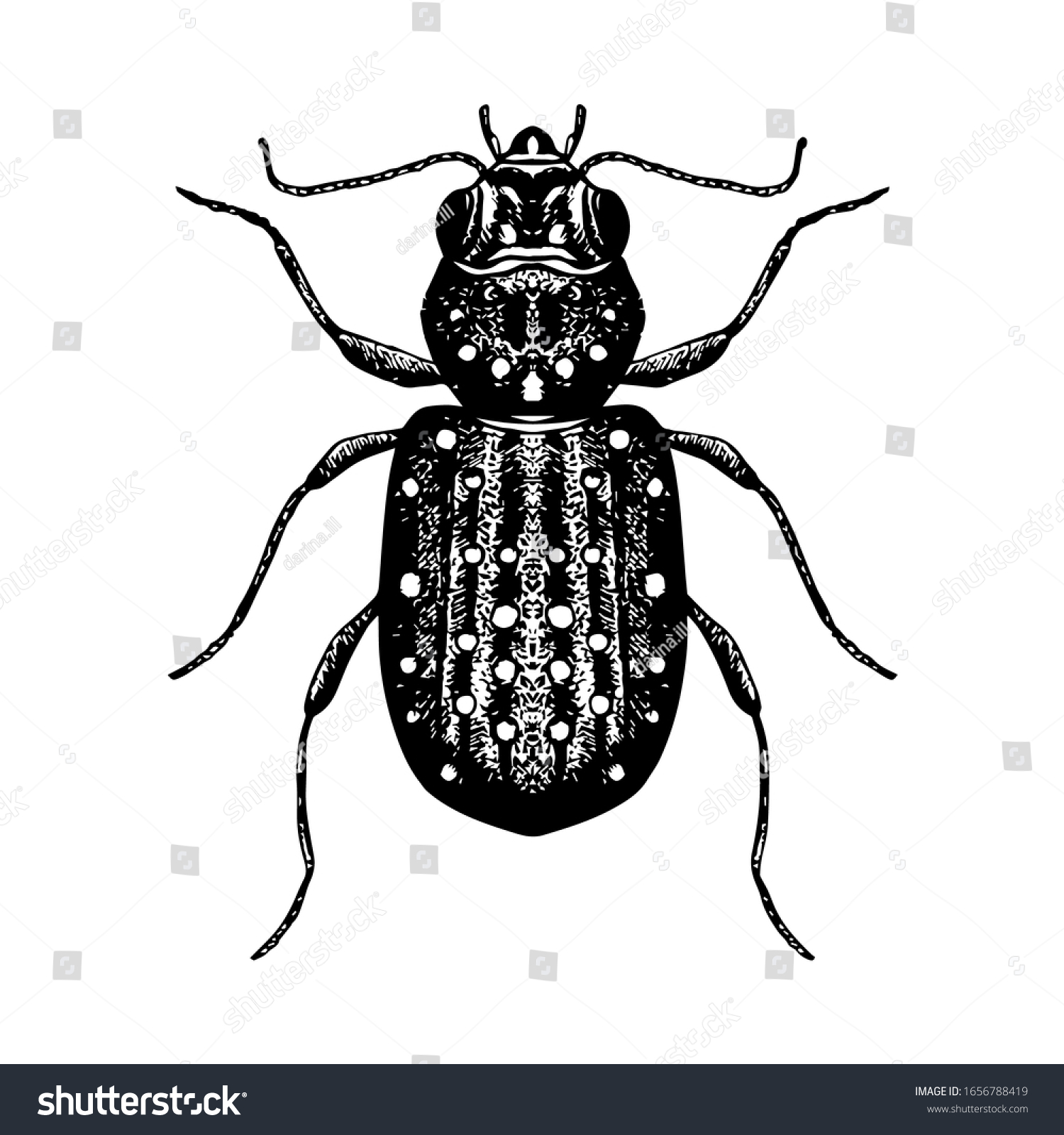 カブトムシの手描きのスケッチ 昆虫のベクターイラスト 白黒の昆虫画 アイコン ロゴ タトゥーデザインのエレメント のベクター画像素材 ロイヤリティフリー