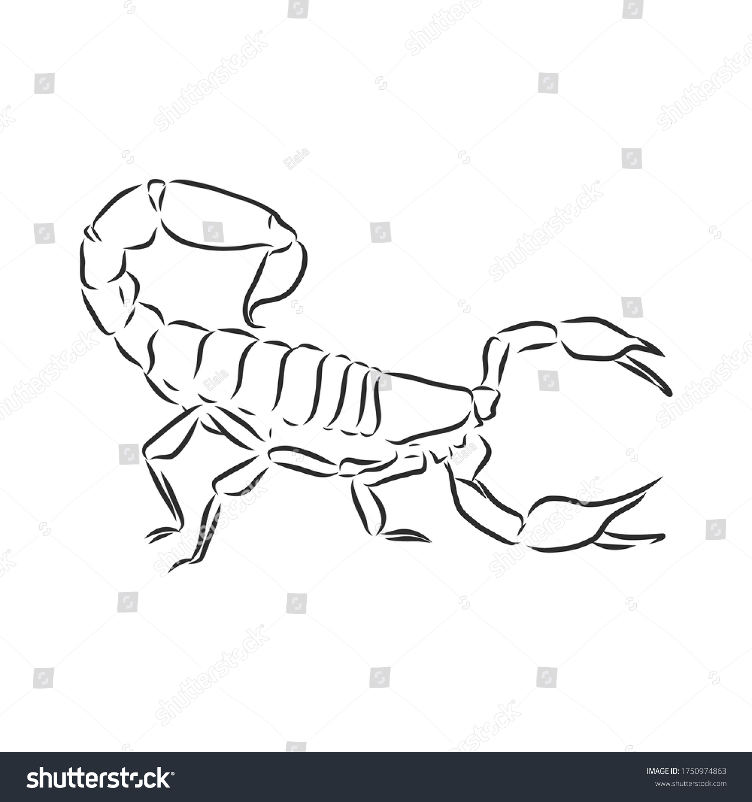 Hand Drawn Sketch Scorpion Retro Realistic Stock Vector (Royalty Free ...