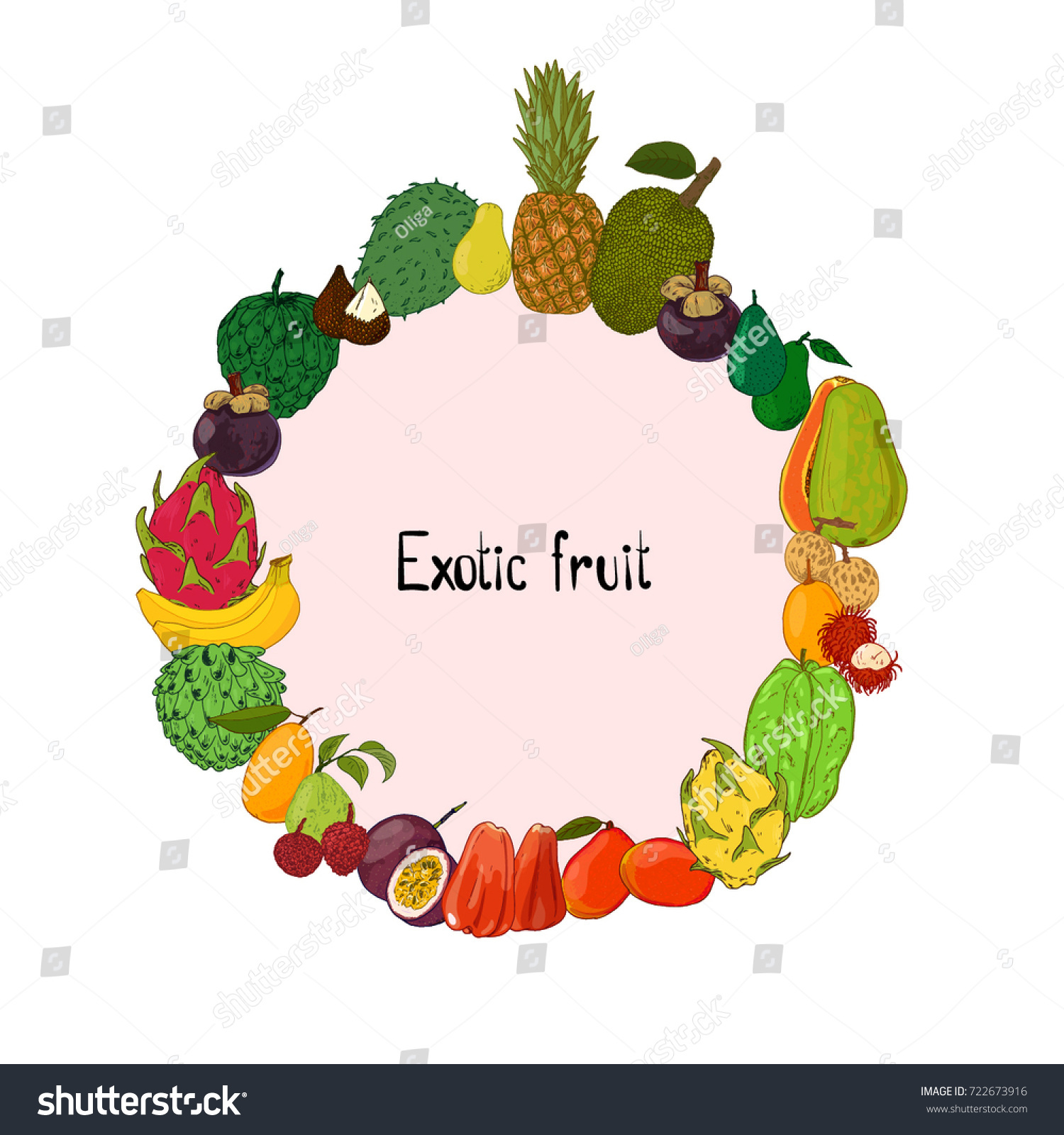 hand drawn sketch style exotic fruits stock vector 722673916