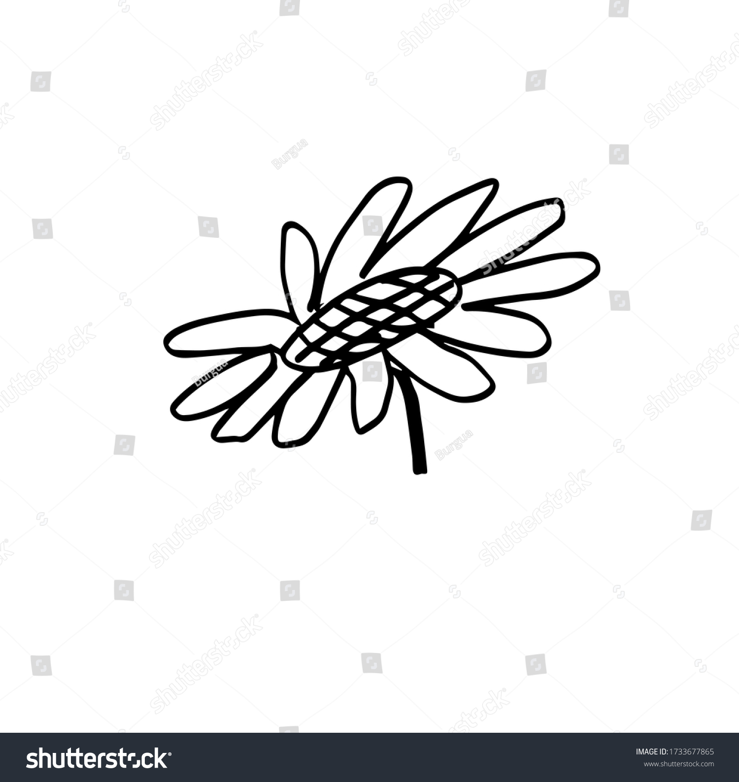 Handdrawn Sunflower Black White Sketch Doodle Stock Vector (Royalty ...