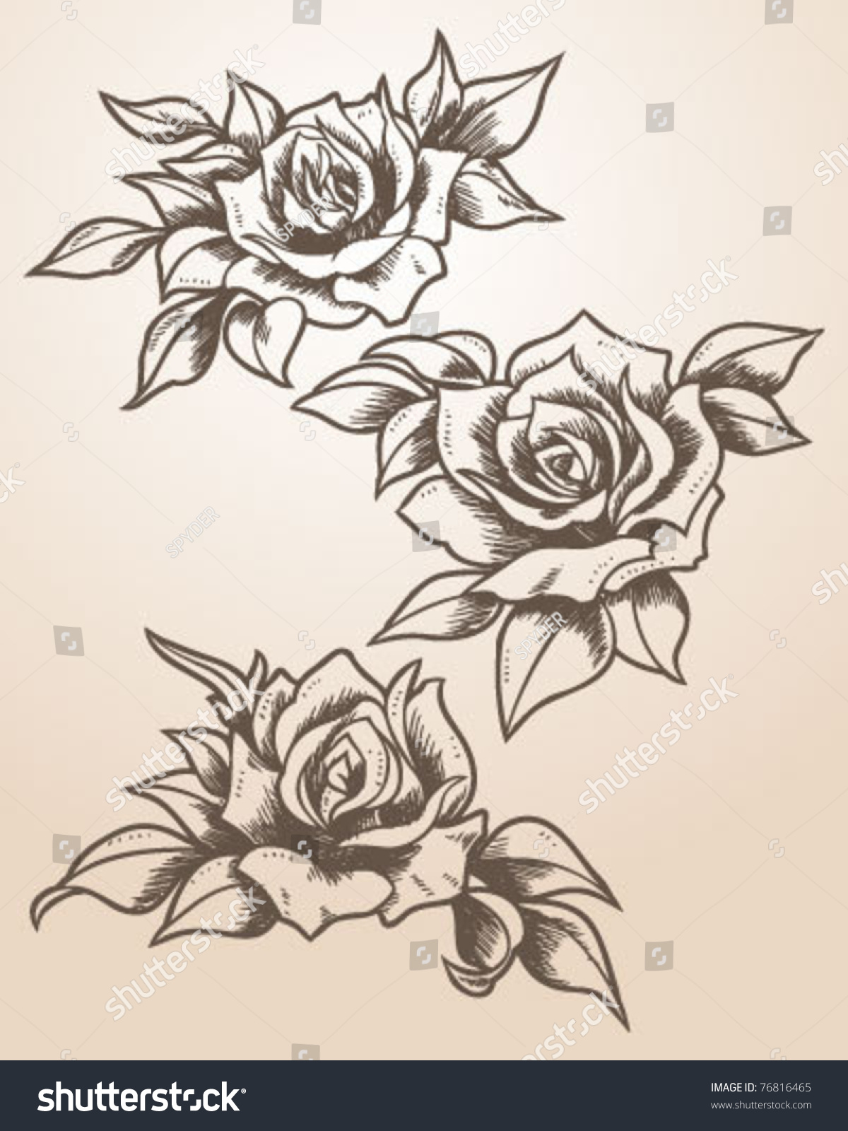 Hand Drawn Tattoo Inspired Roses Stock Vector 76816465 - Shutterstock