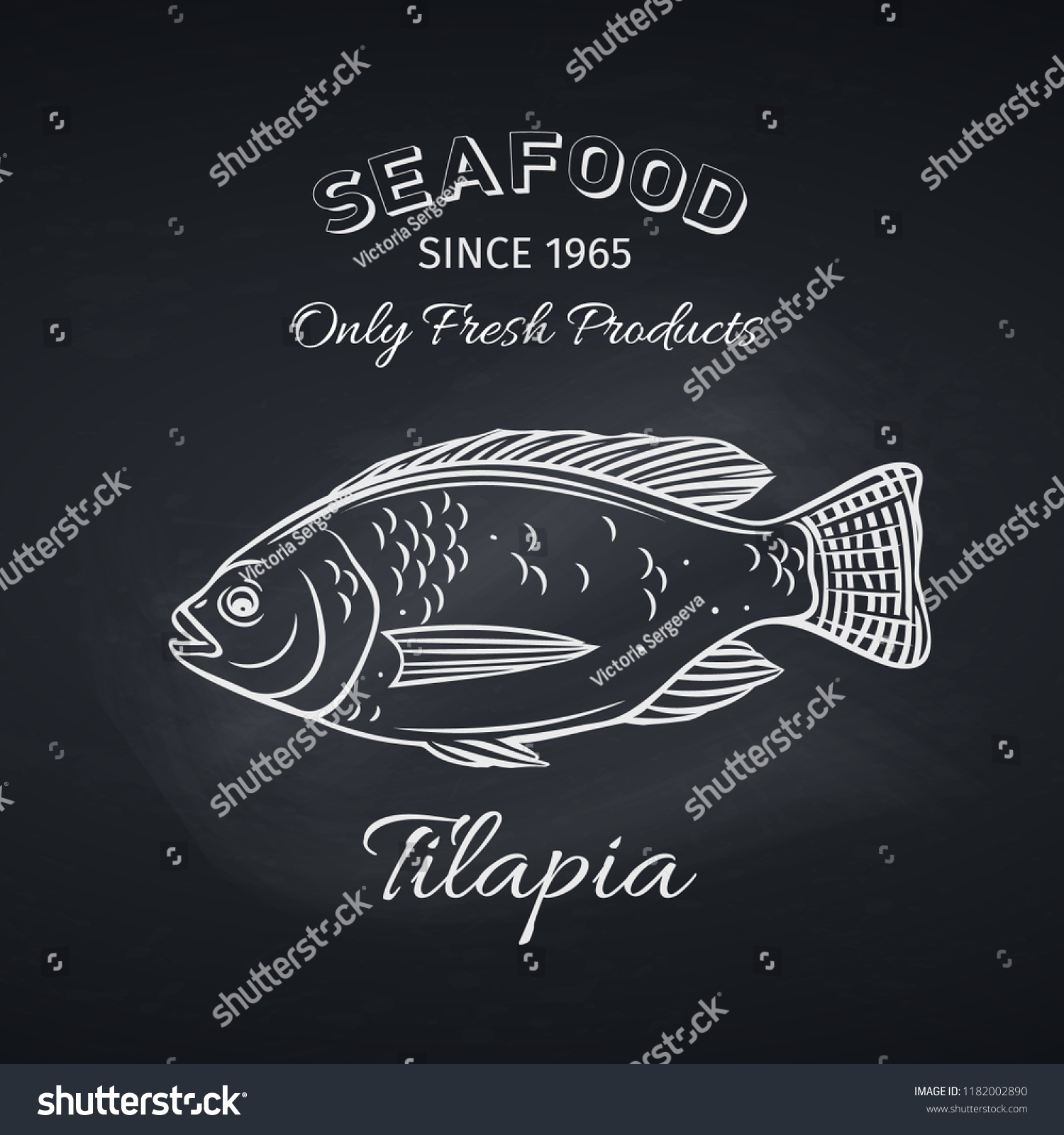 Hand Drawn Tilapia Fish On Chalkboard Stock Vector (Royalty Free ...