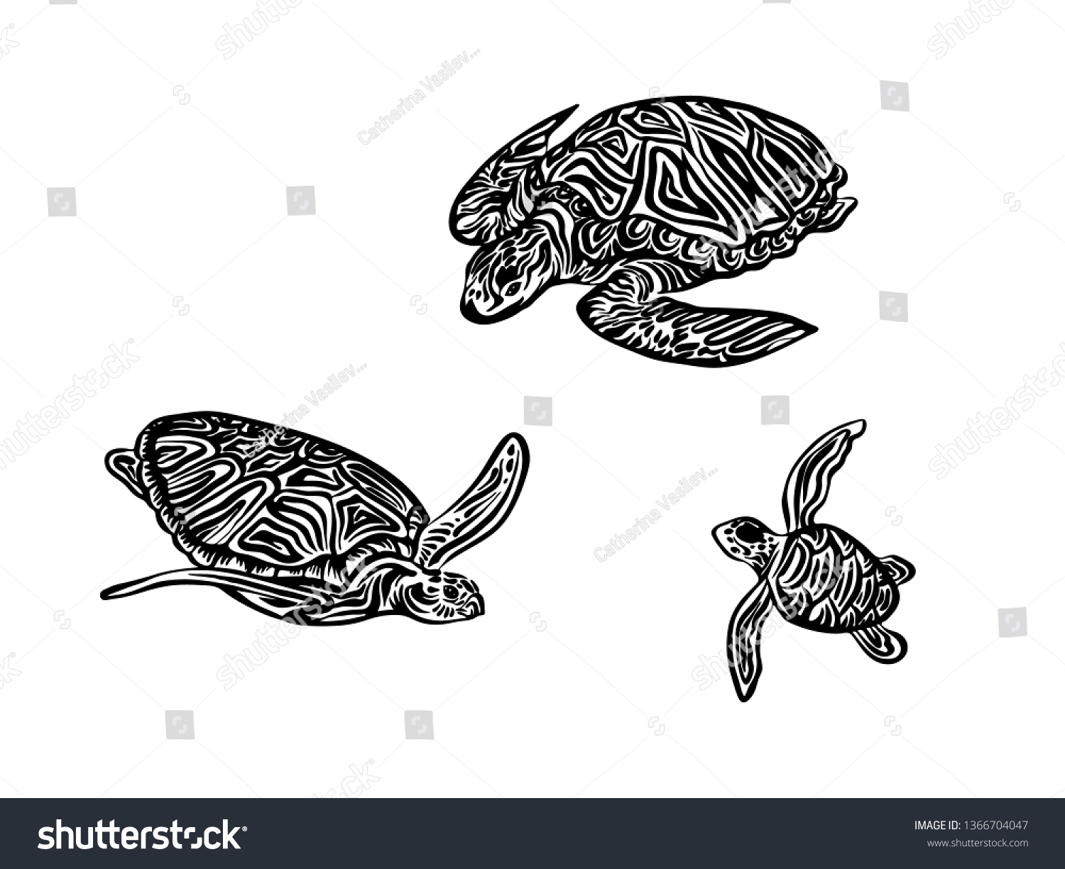 Hand Drawn Tortoise Family Outline Sketch Stock Vector (Royalty Free ...