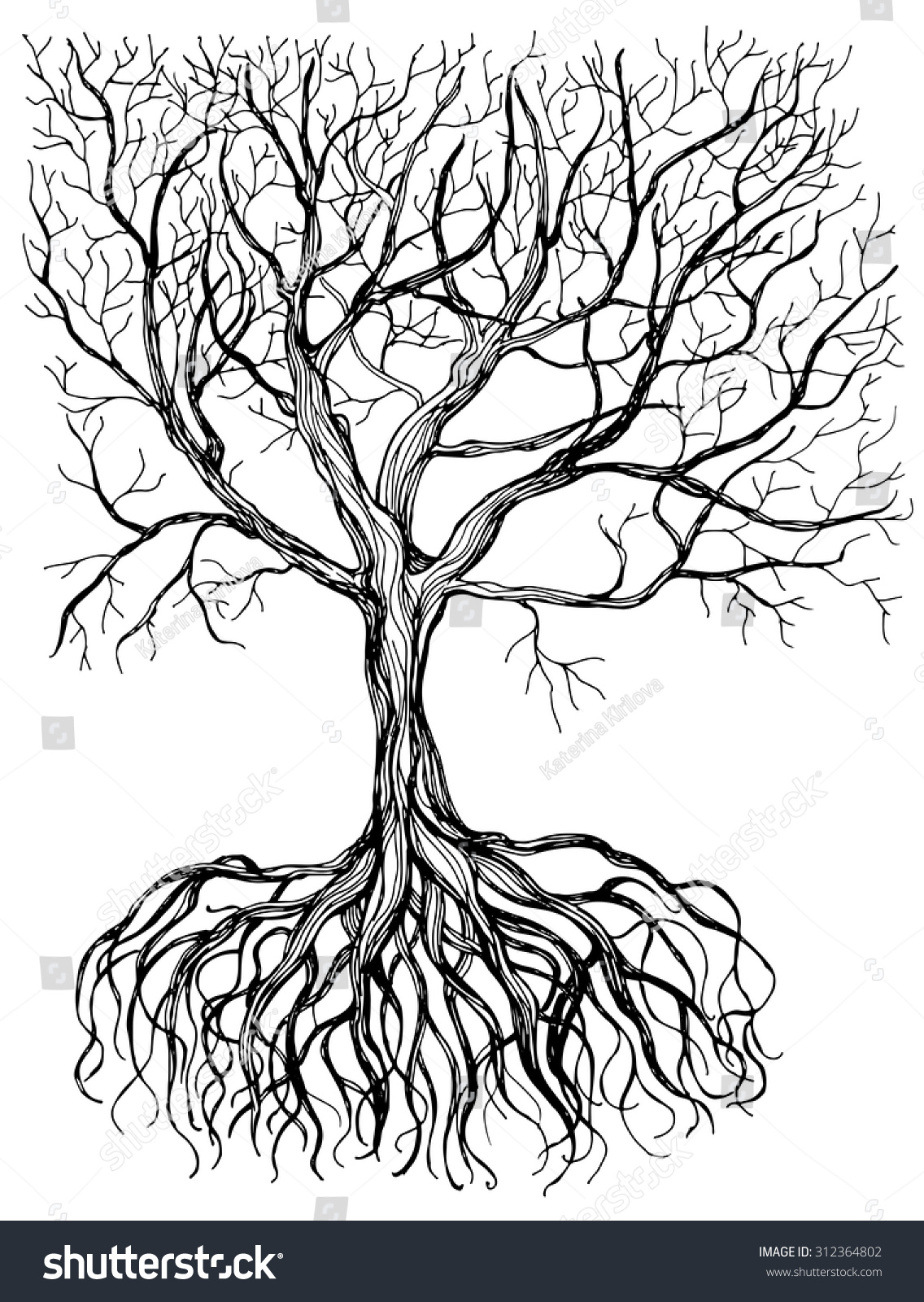 Hand - Drawn Tree With Root On White Background. Stock Vector ...