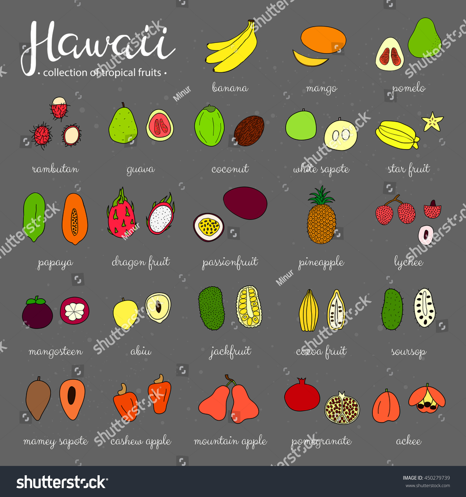 Hawaii Fruit Chart