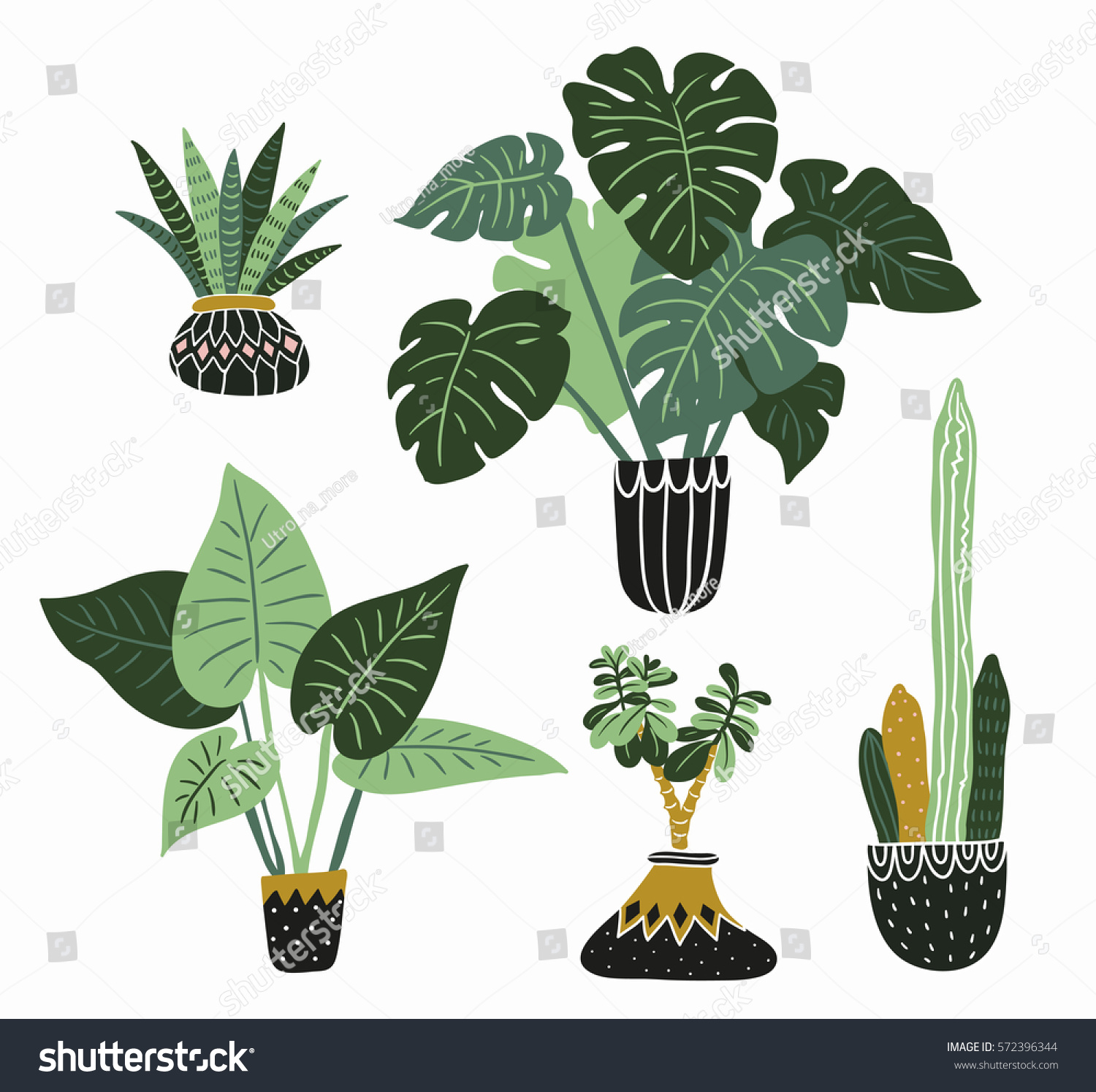 Hand Drawn Tropical House  Plants  Scandinavian Stock Vector 