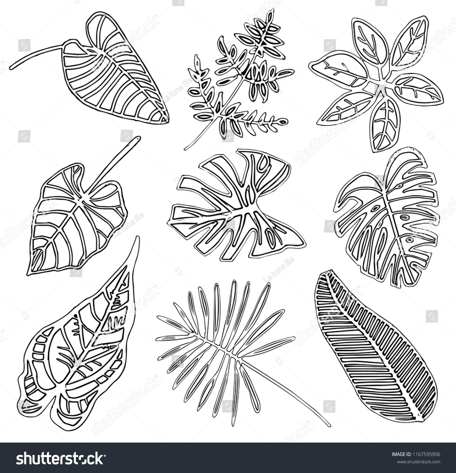 Hand Drawn Tropical Leaves Trendy Black Stock Vector Royalty Free