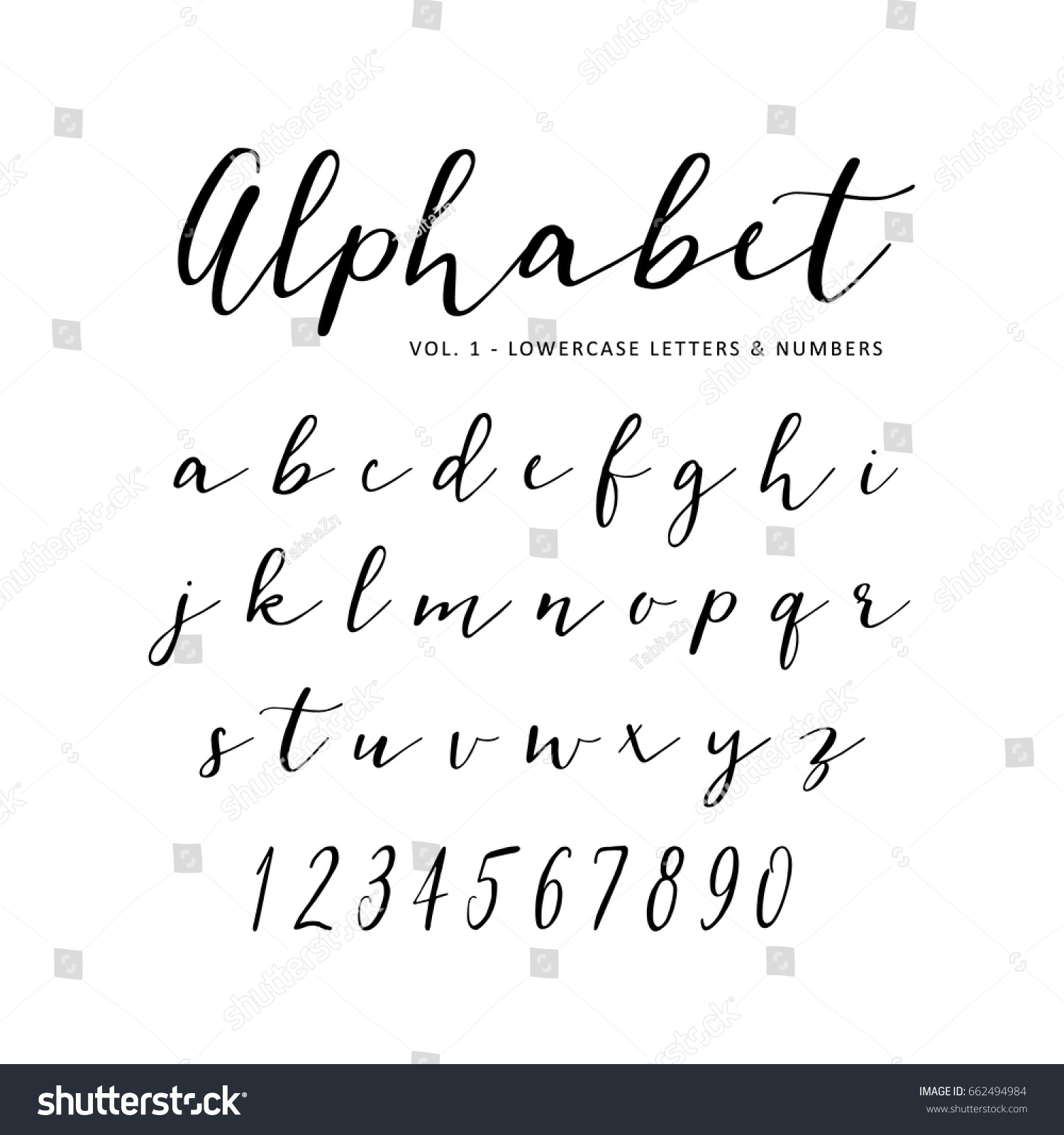 Hand Drawn Vector Alphabet Script Font Stock Vector (Royalty Free ...