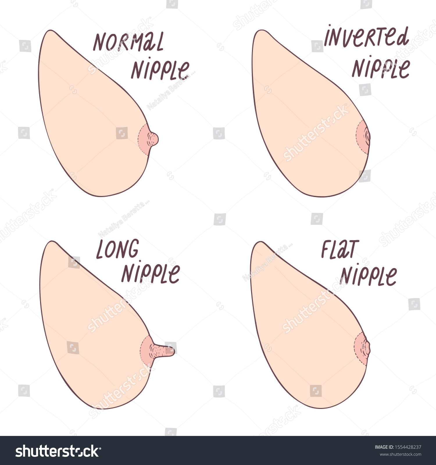Nipples of different types The 8