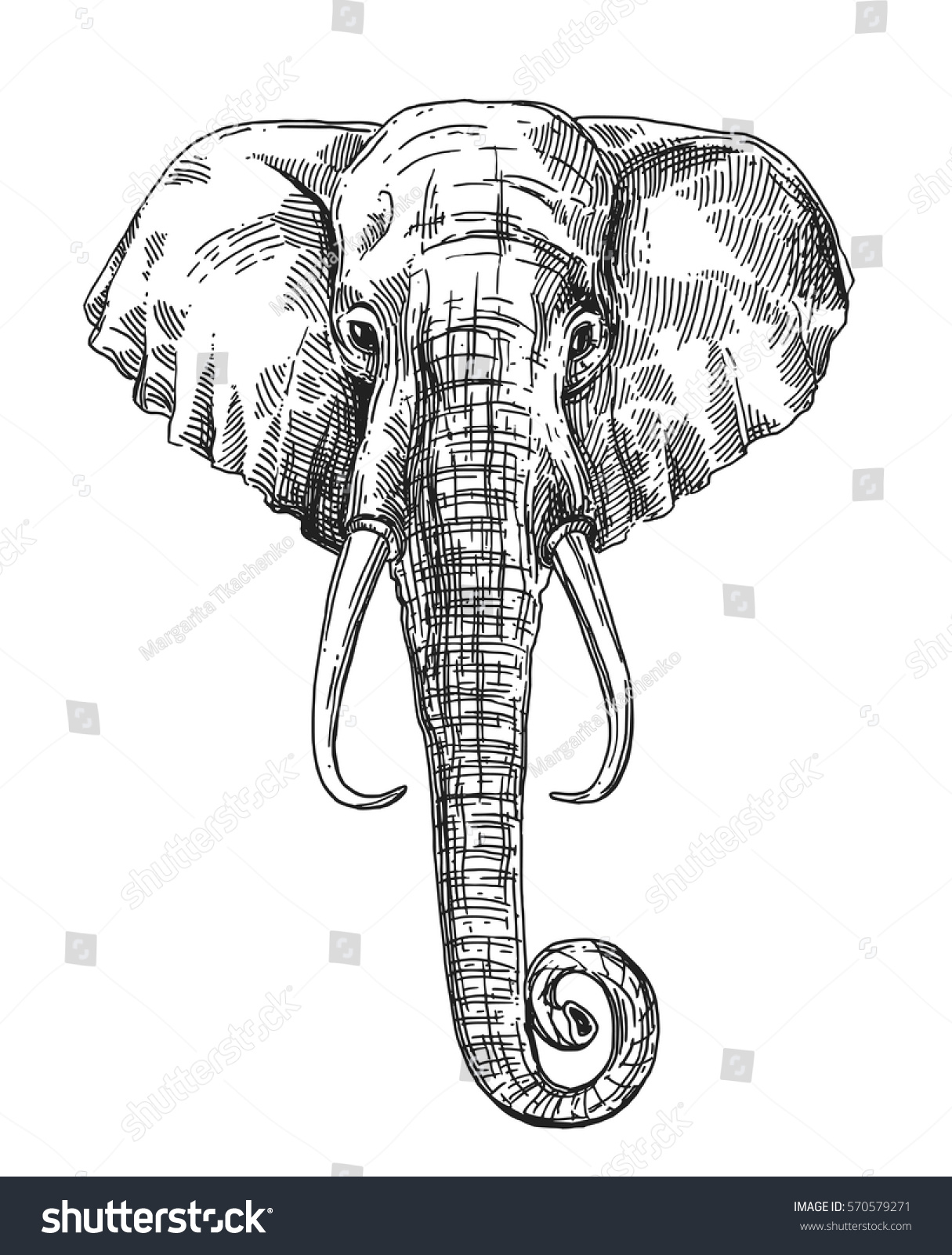 Free Free 322 Elephant Sketch Svg SVG PNG EPS DXF File