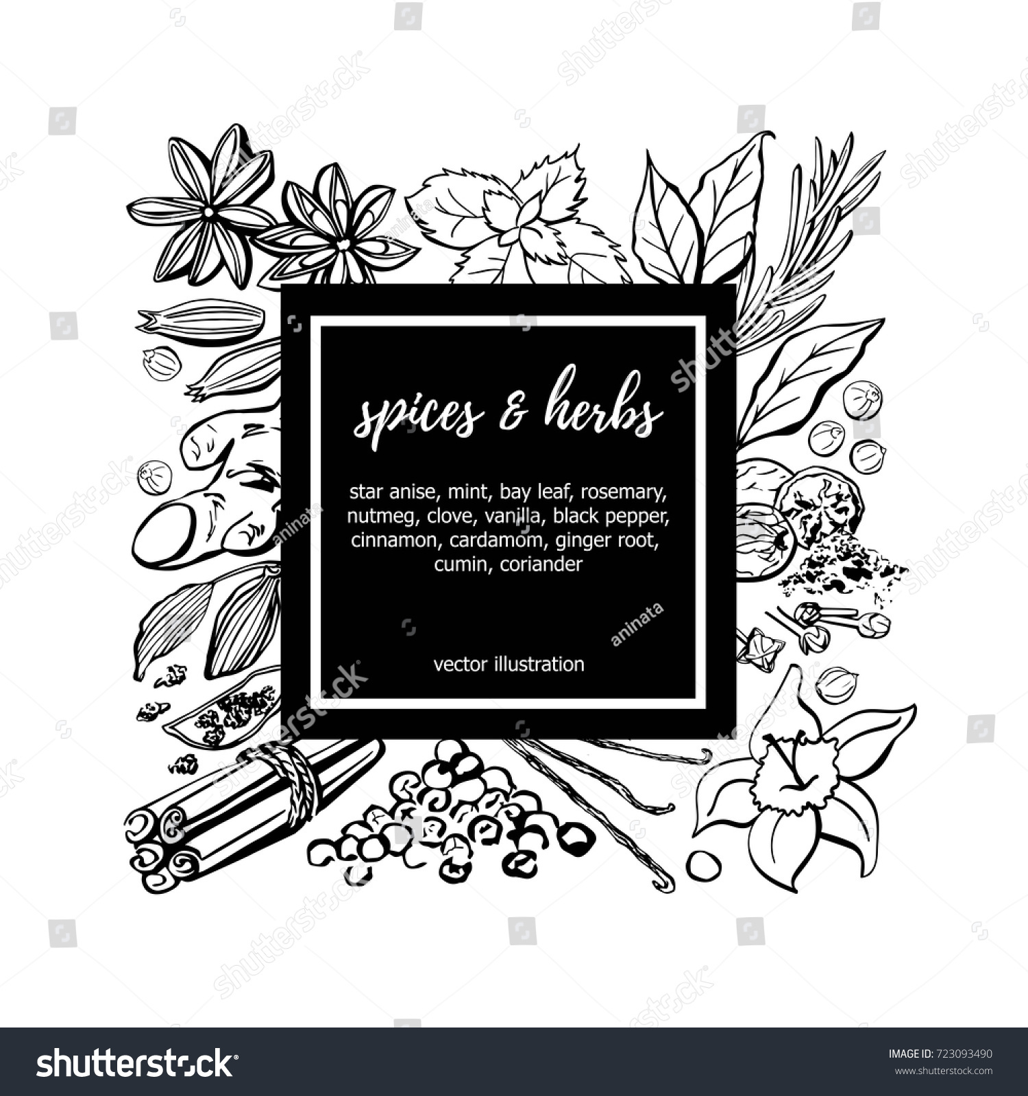 10,179 Whole spices Stock Illustrations, Images & Vectors | Shutterstock