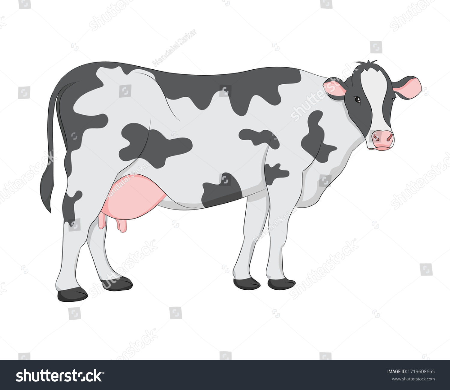 Hand Drawn Vector Image Cow On Stock Vector (Royalty Free) 1719608665 ...