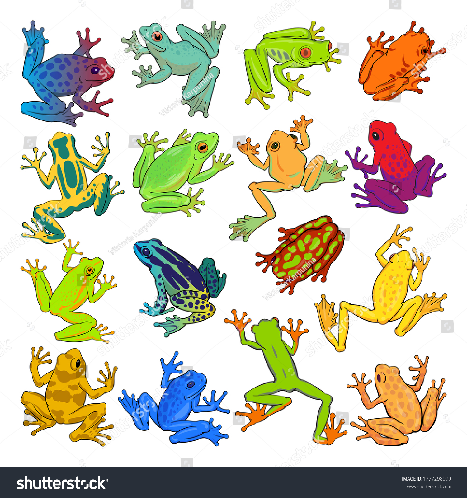 SVG of Hand drawn vector set of colorful tree frogs isolated on white background. Original stock illustration of amphibians. svg