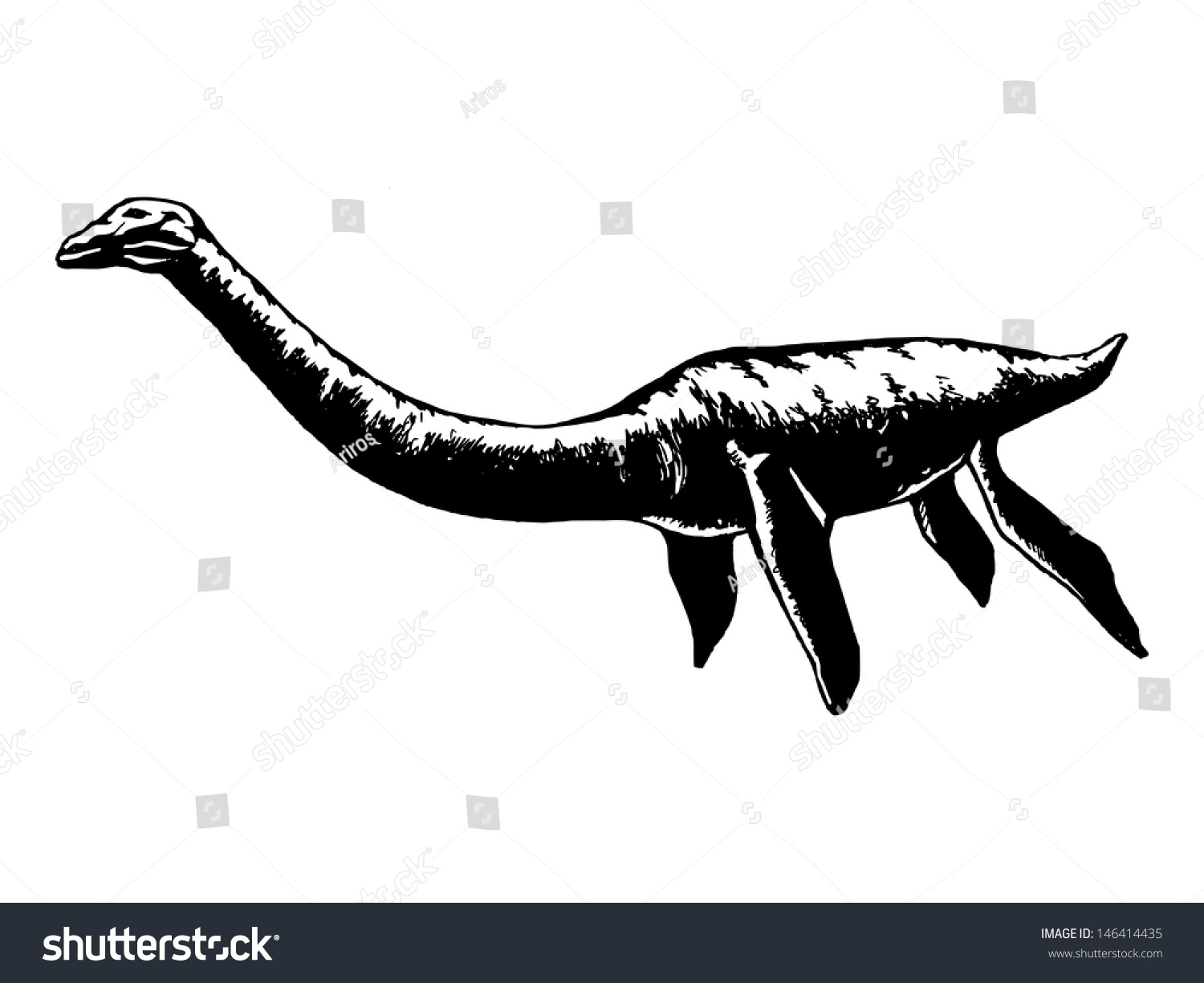 Hand Drawn, Vector, Sketch Illustration Of Plesiosaurus 146414435