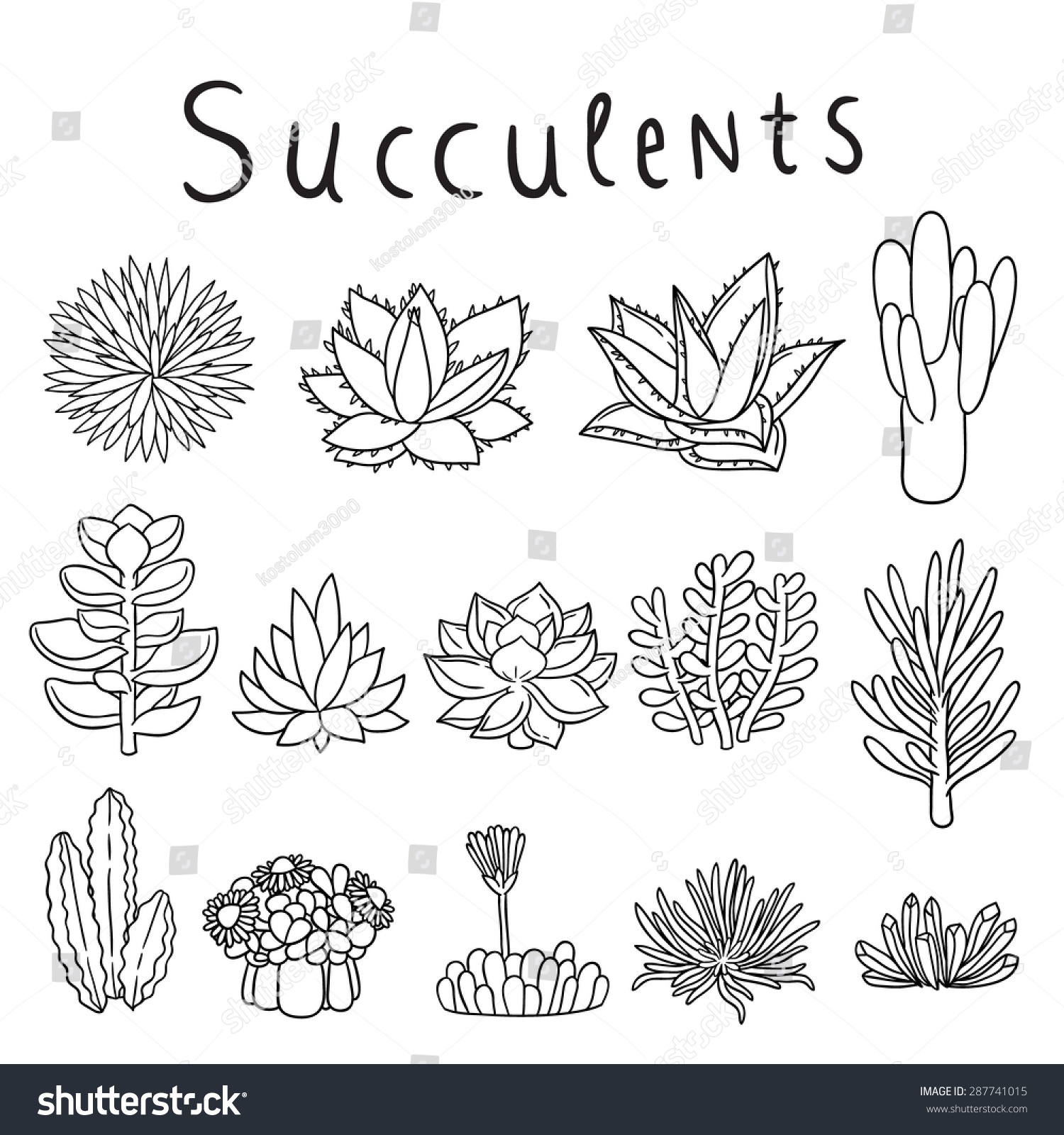 Hand Drawn Vector Succulents Stock Vector (Royalty Free) 287741015