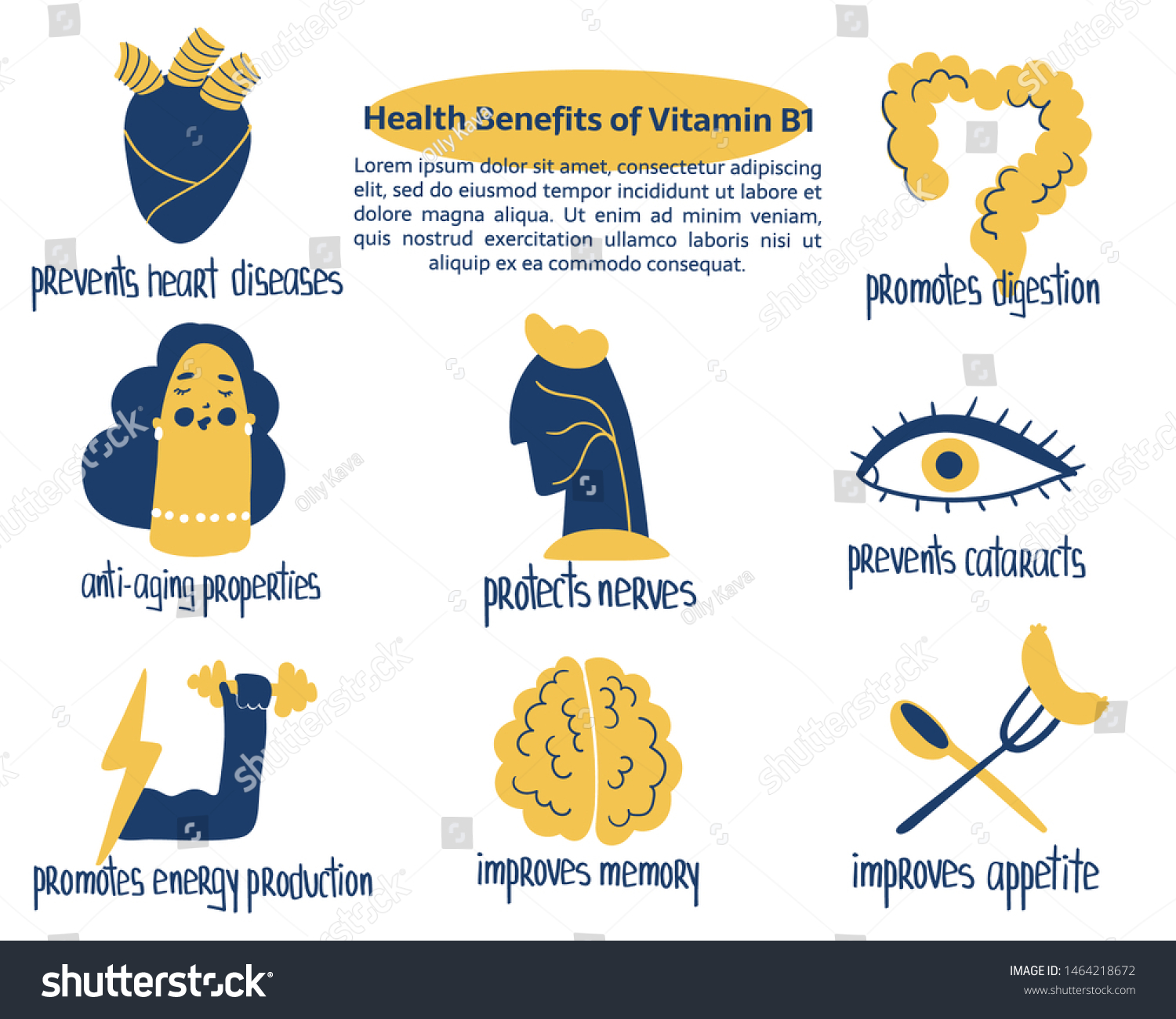 Hand Drawn Vitamin B1 Thiamine Benefits Stock Vector Royalty Free 1464218672