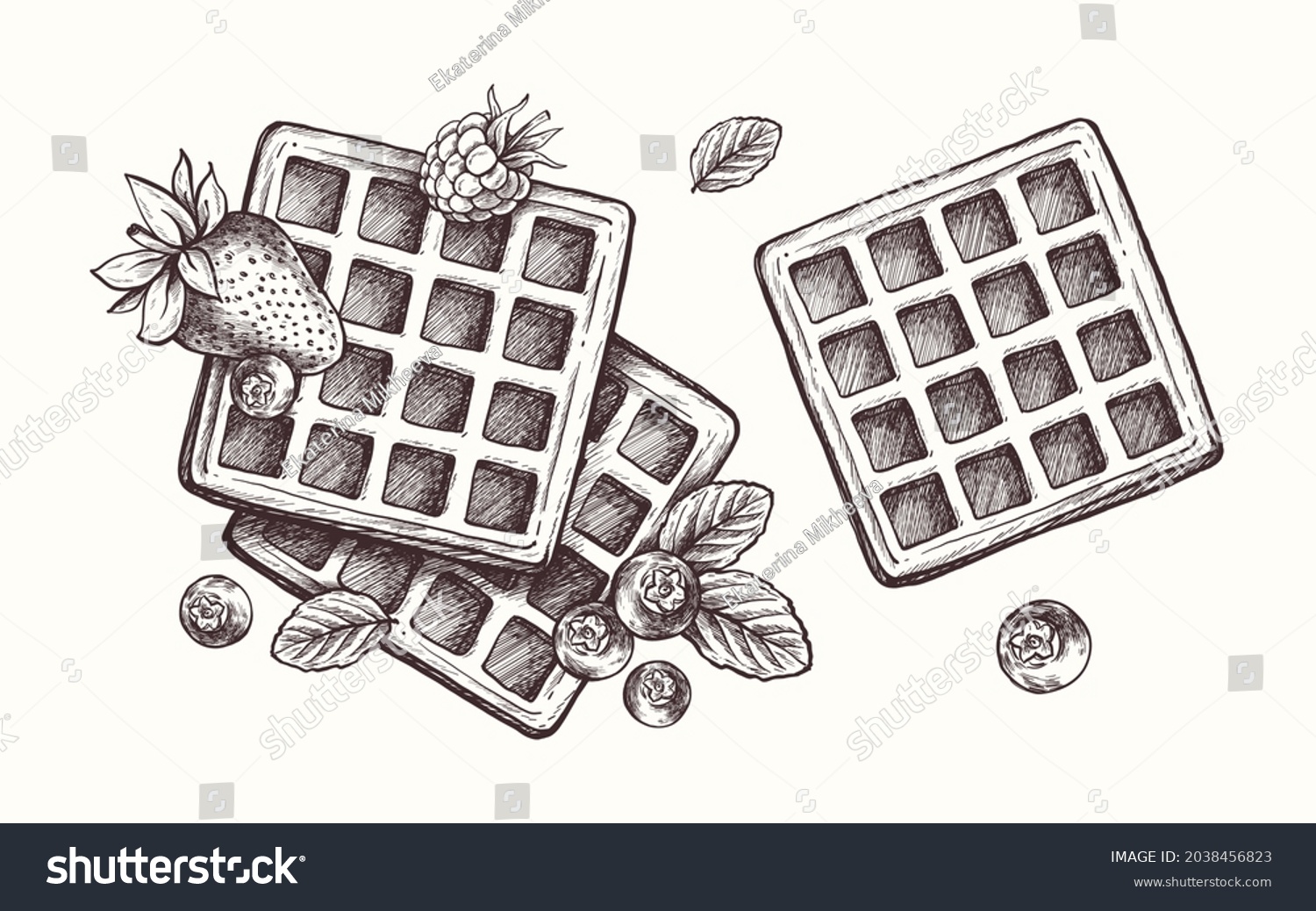 Hand Drawn Waffles Fruit Vintage Engraved Stock Vector (Royalty Free ...