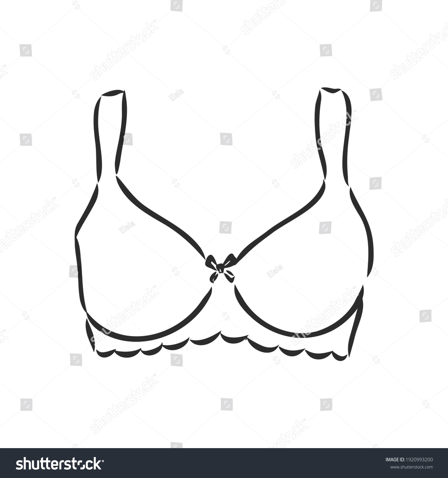 Hand Drawn Womens Bra Sketch Symbol เวกเตอร์สต็อก ปลอดค่าลิขสิทธิ์ 1920993200 Shutterstock 