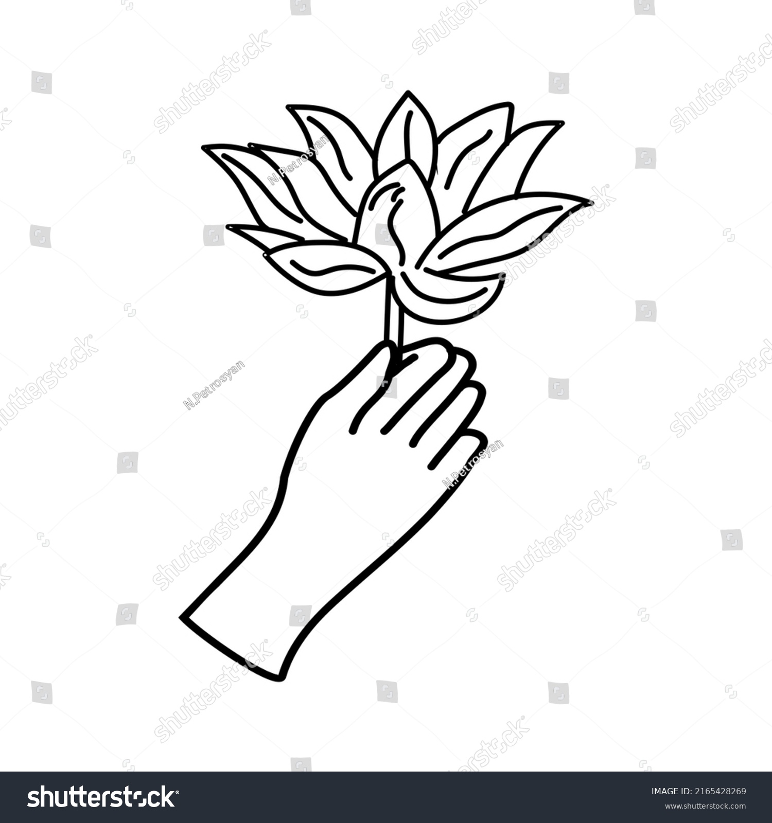 Hand Holding Lotus Flower Linear Illustration Stock Vector (Royalty ...