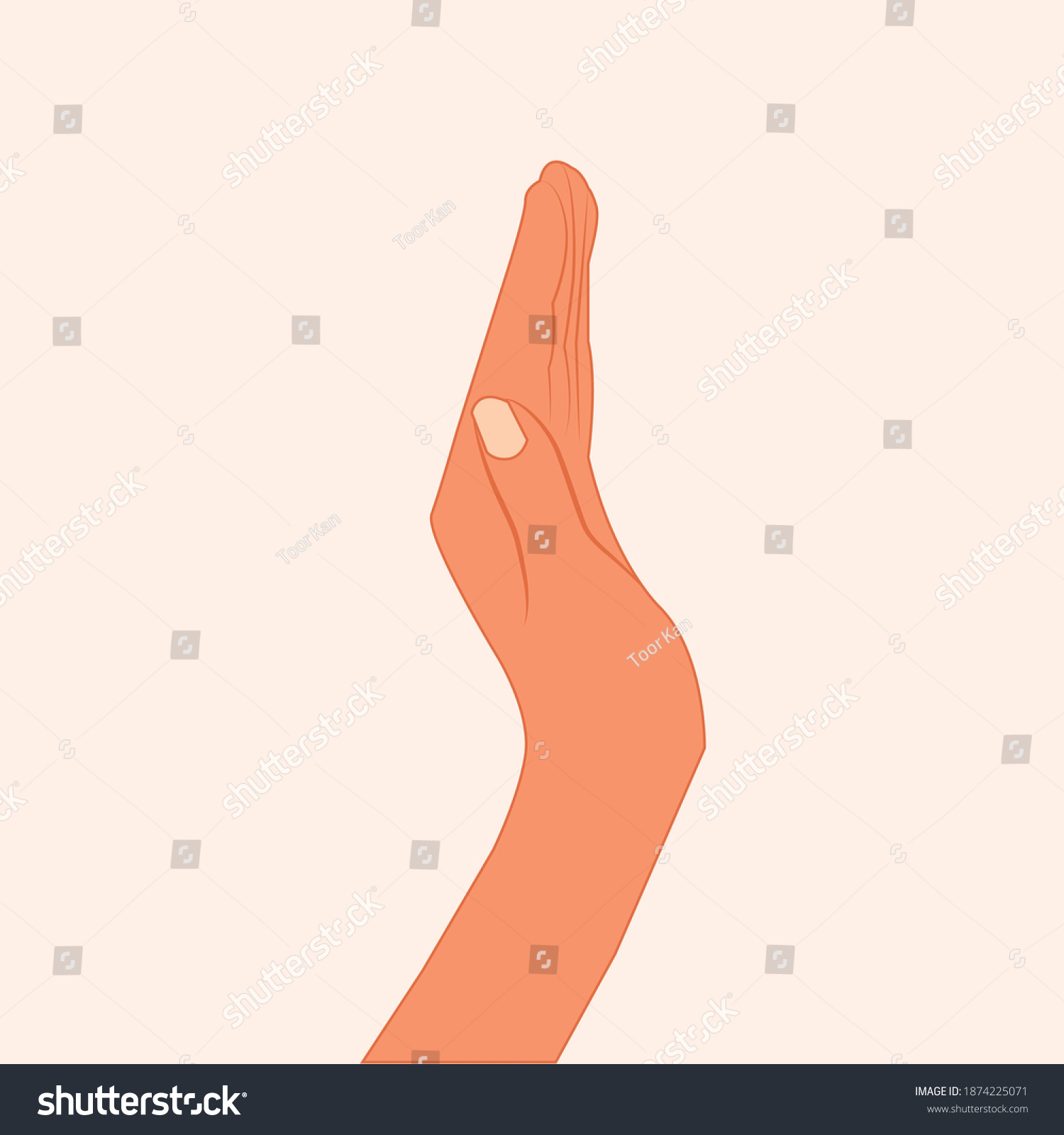 Hand Holding Something Isolated On White Stock Vector (Royalty Free ...