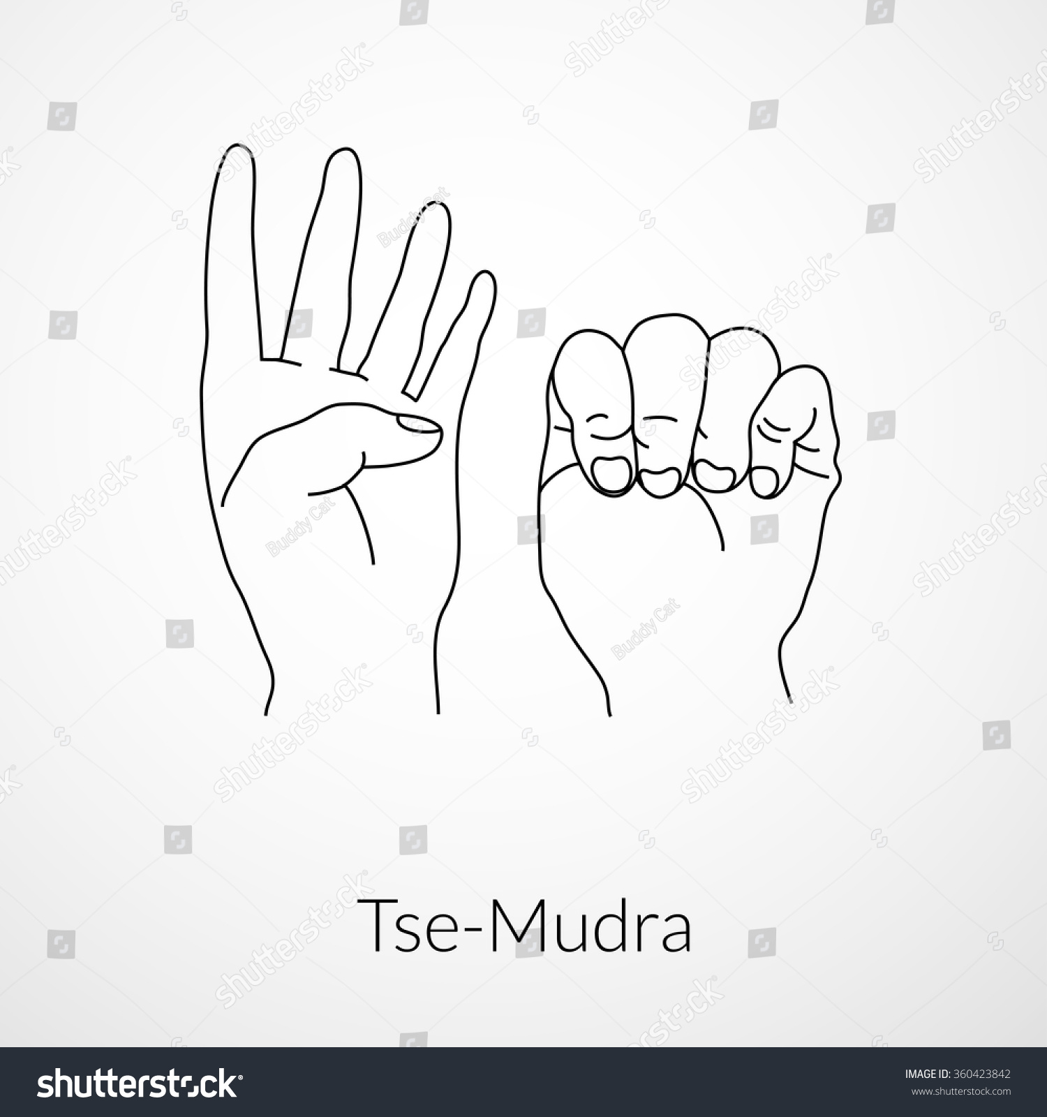 Hand Yoga Mudra Tsemudra Vector Illustration Stock Vector (Royalty Free ...
