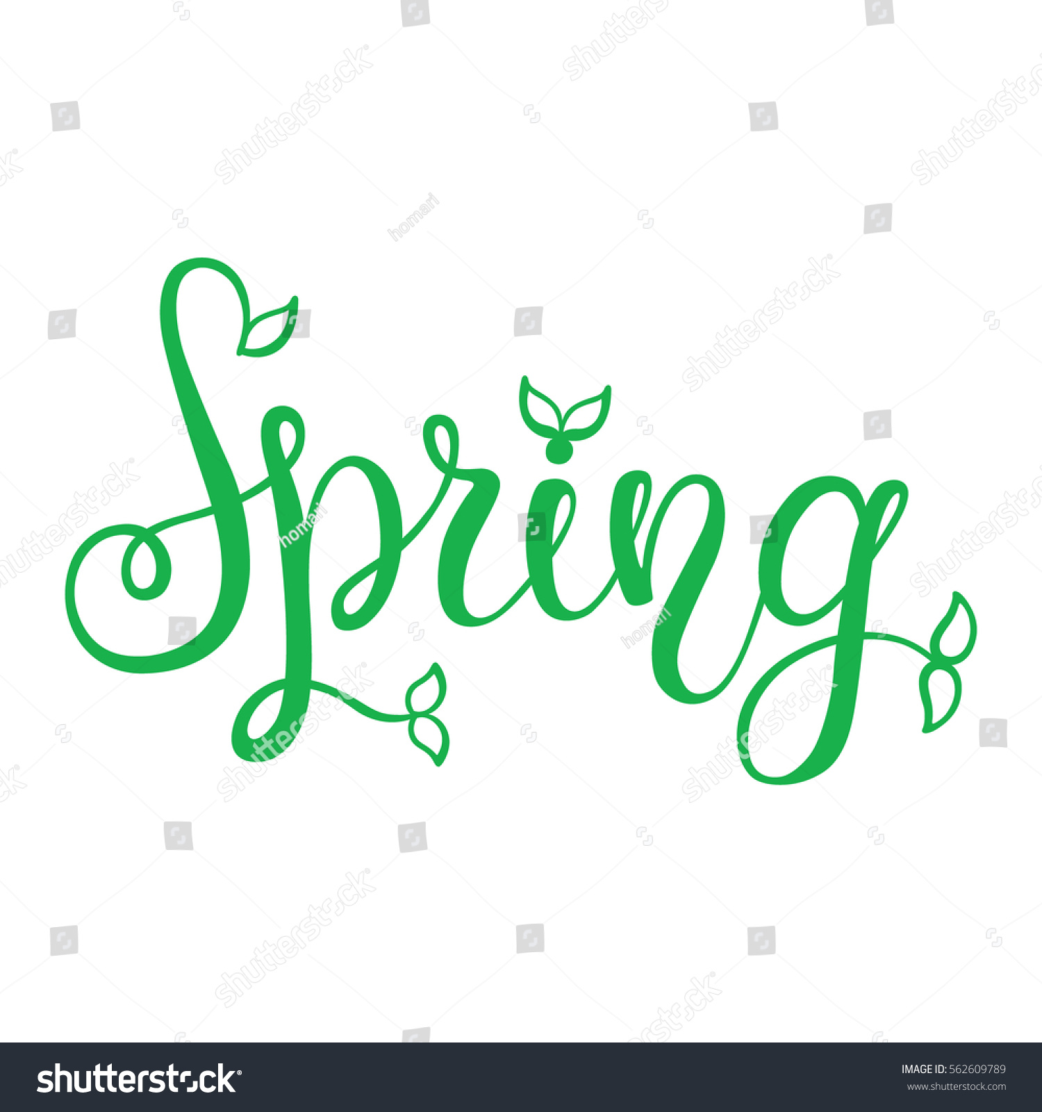 Hand Lettering Spring Stock Vector (Royalty Free) 562609789