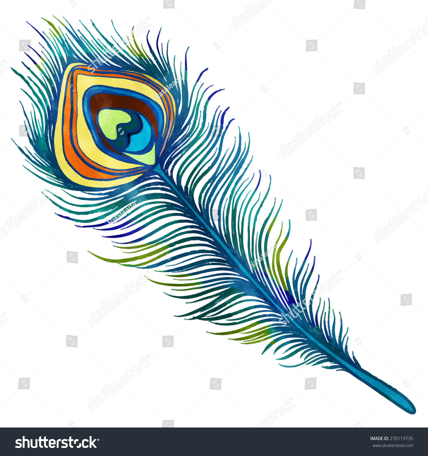 Hand Painted Watercolor Peacock Feather Closeup Stock Vector 270119735 ...