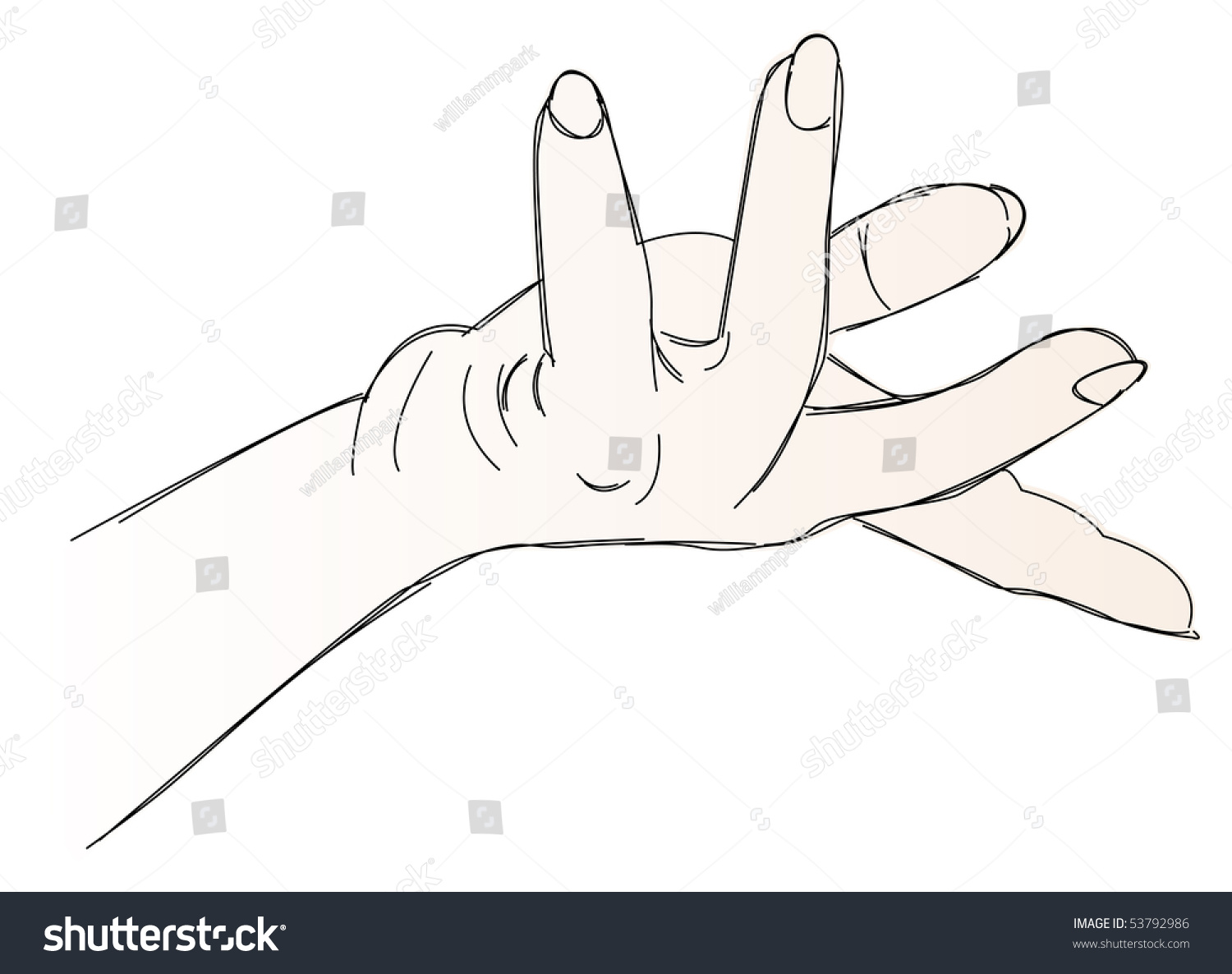 Hand Sketch Stock Vector Illustration 53792986 : Shutterstock