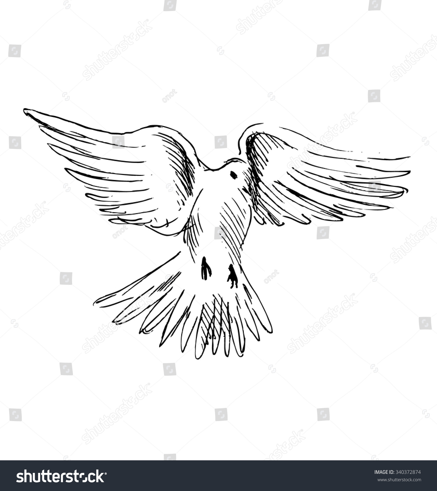 Hand Sketch Flying Dove Stock Vector (Royalty Free) 340372874