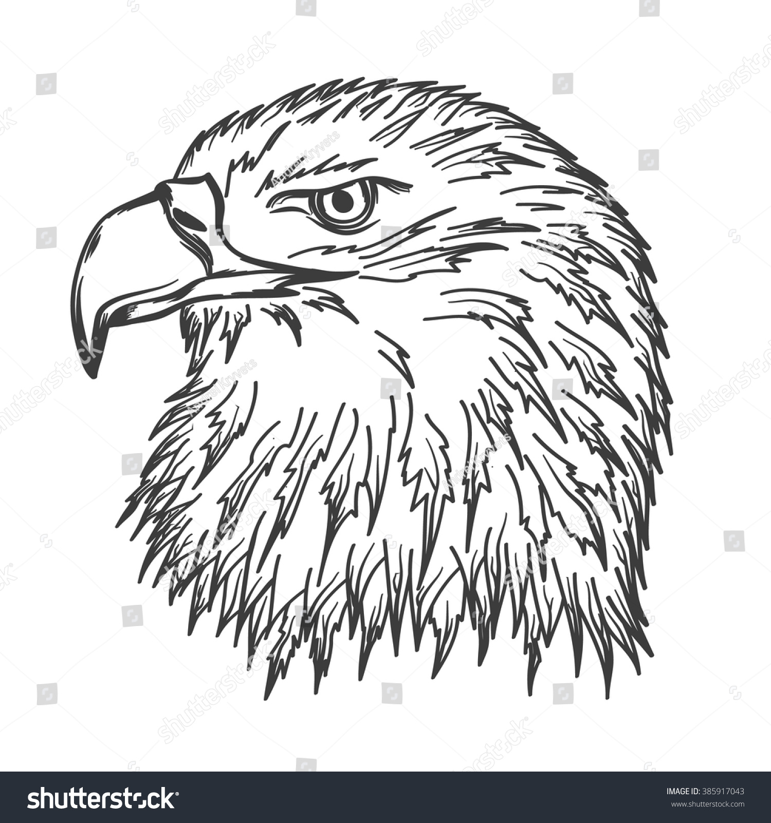 Handdrawn Eagles Head Your Design Stock Vector (Royalty Free) 385917043