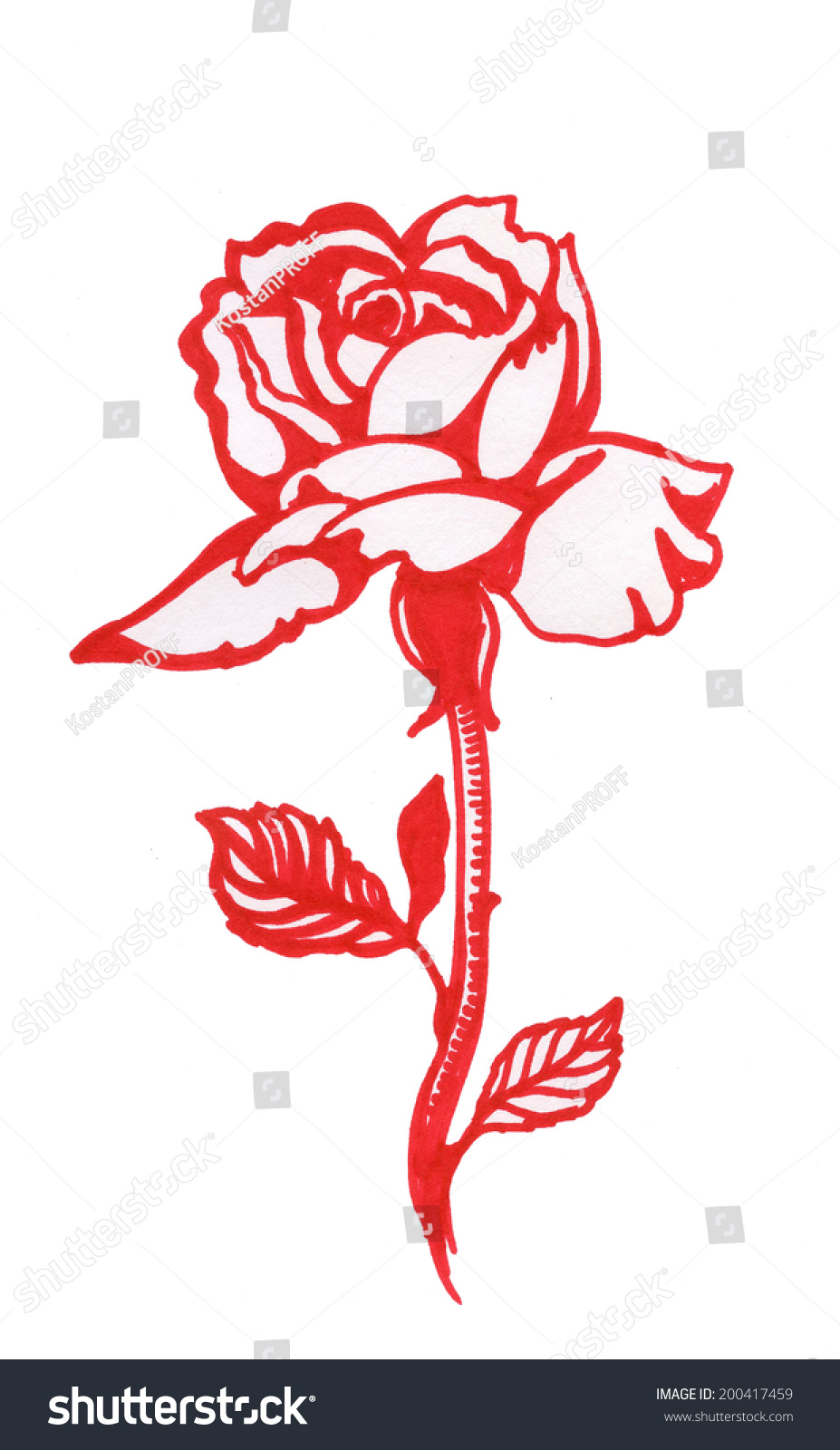 Handdrawn Red Rose Sketchstyle Isolated On Stock Vector 200417459