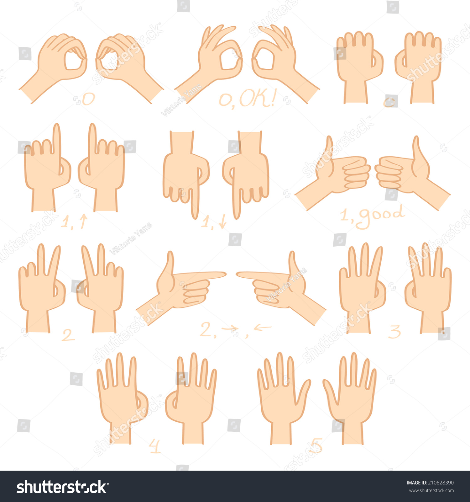 Hands (Left And Right) Show Numbers And Directions Vector Set ...