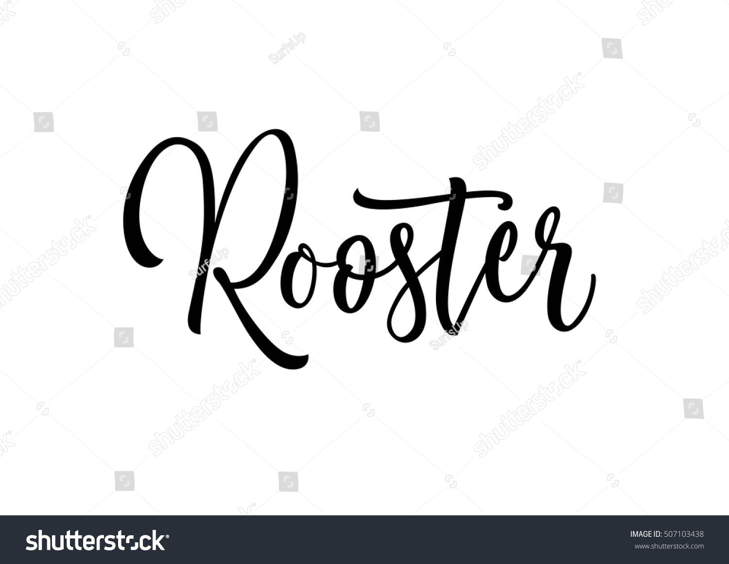Handwritten Rooster Lettering Stock Vector (Royalty Free) 507103438