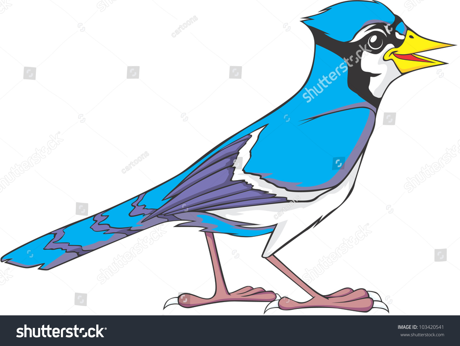 Happy Blue Jay Bird Illustration - 103420541 : Shutterstock