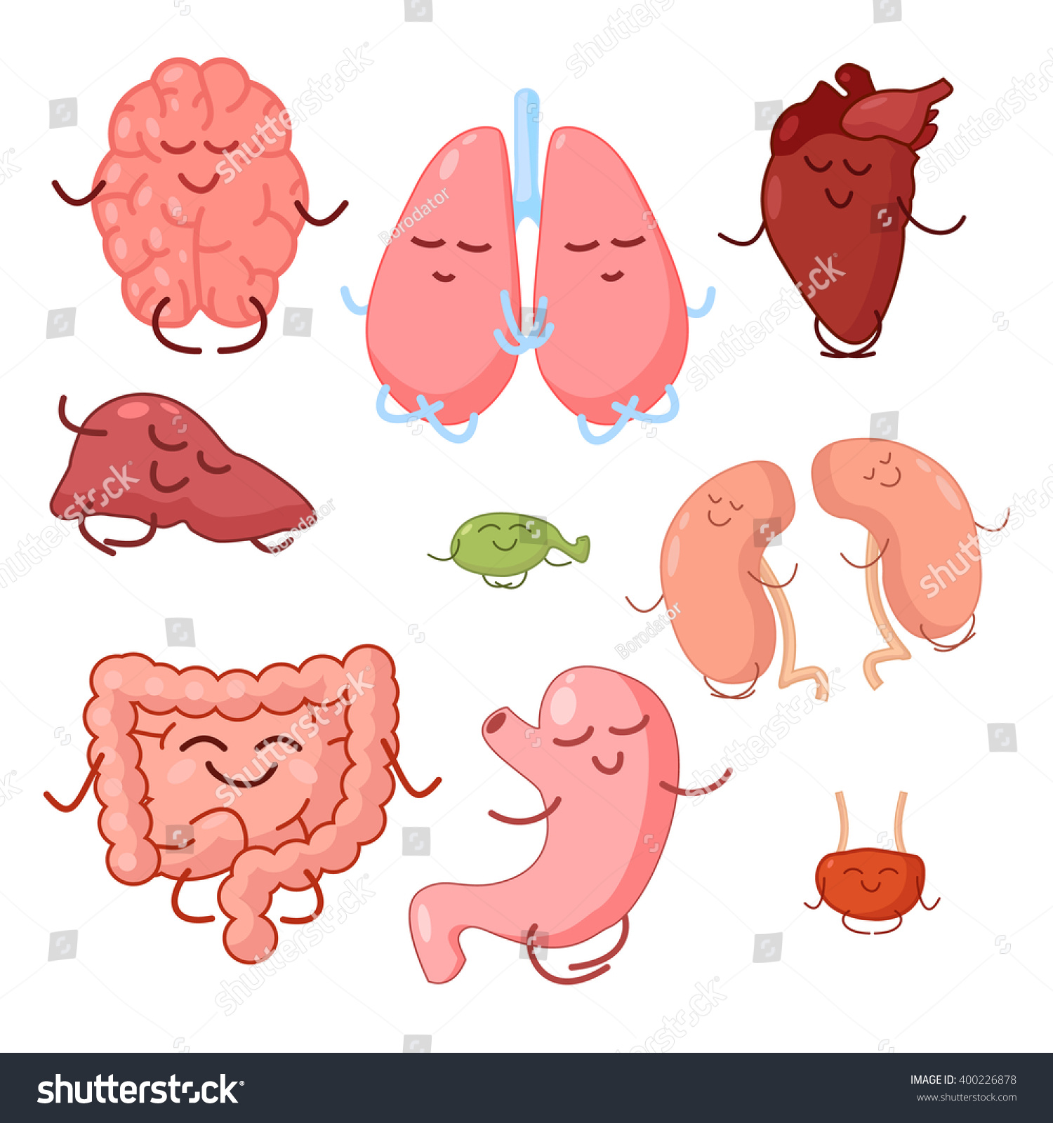 Happy Brain, Lungs, Heart, Liver, Kidneys, Bladder, Gallbladder ...