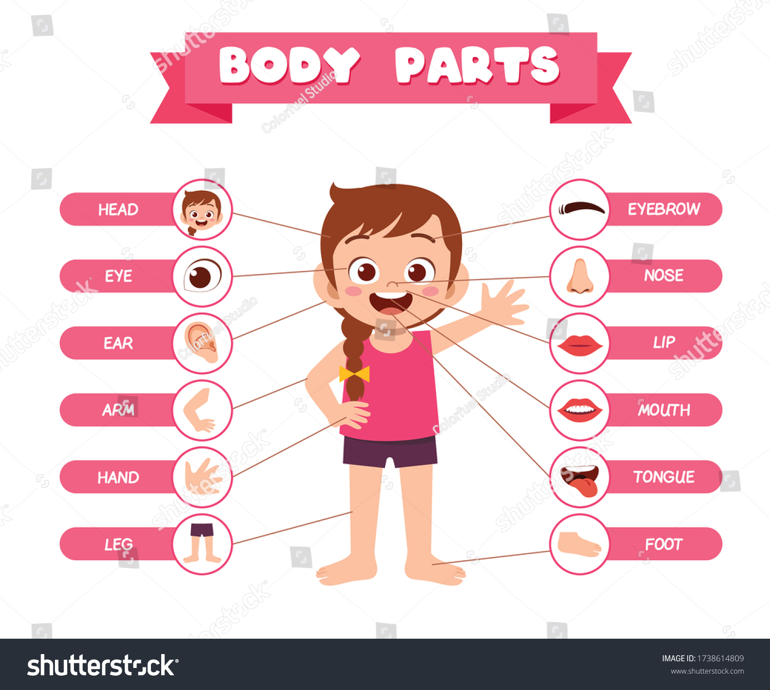 132,220 Parts of the body girl Images, Stock Photos & Vectors ...